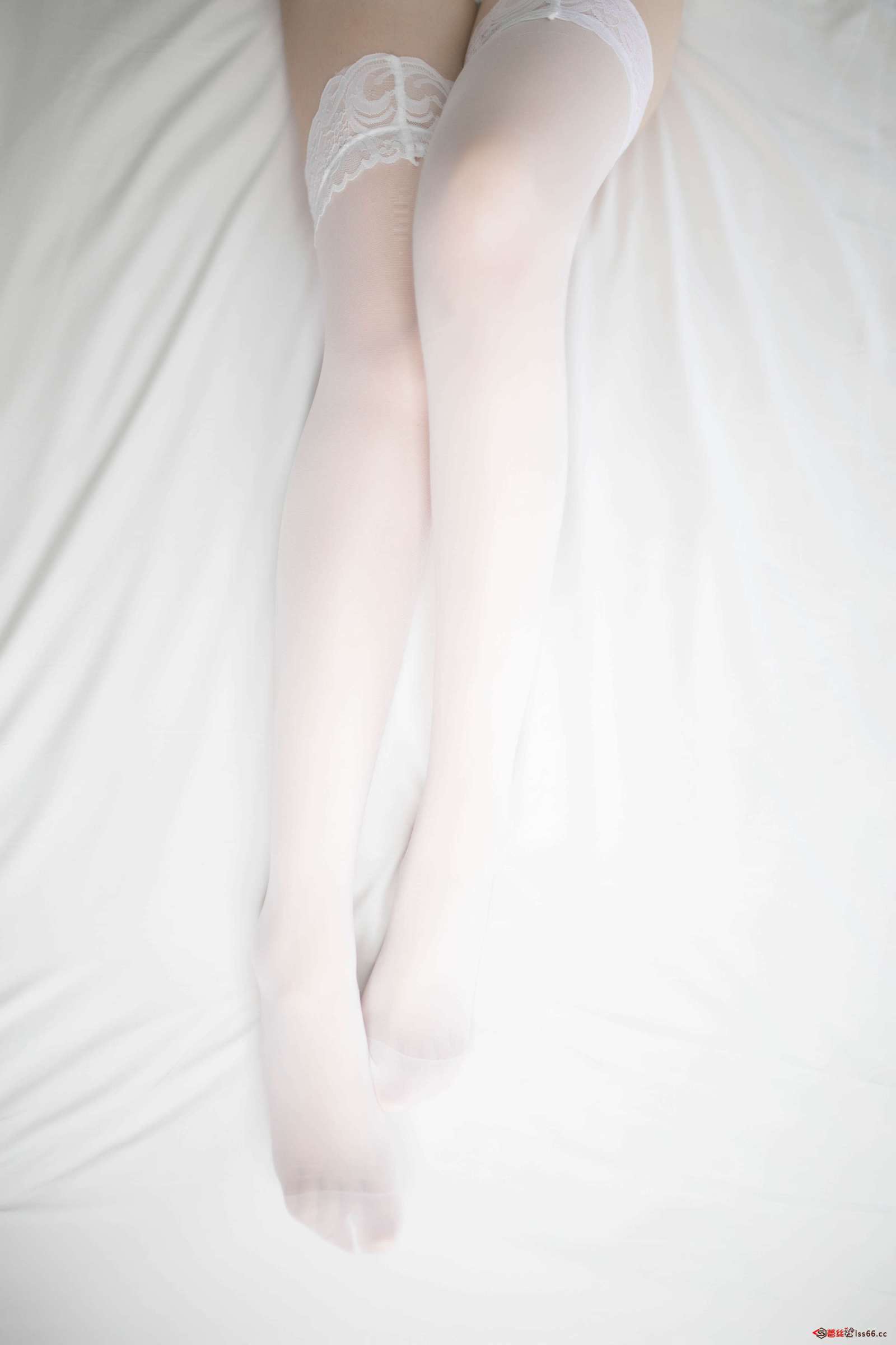 https://www.lss77.com/wp-content/uploads/2023/03/1679716467-93dd4de5cddba2c-1600x2400.jpg