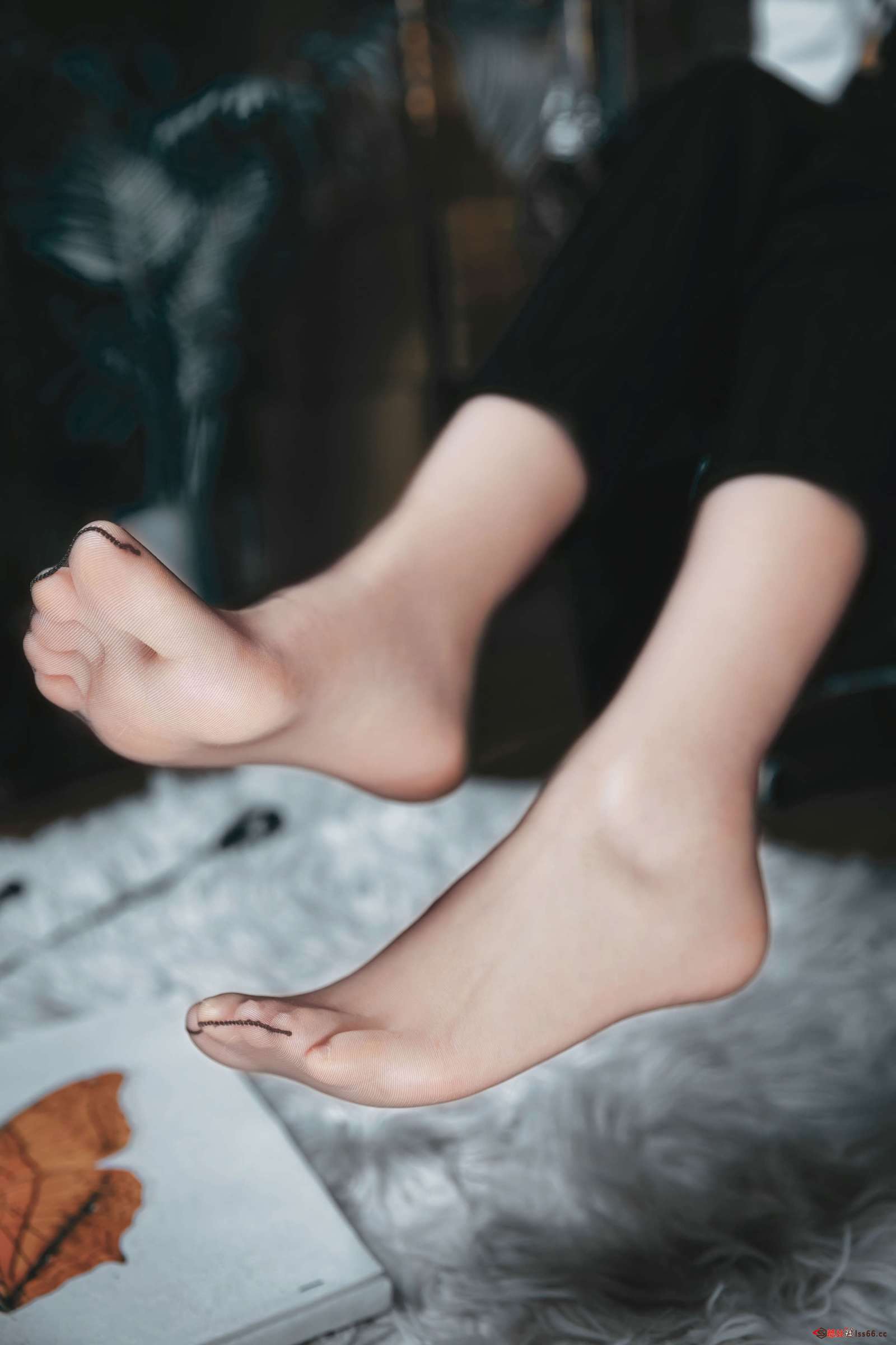 https://www.lss77.com/wp-content/uploads/2023/03/1680067107-9e94b15ed312fa4-1600x2400.jpg