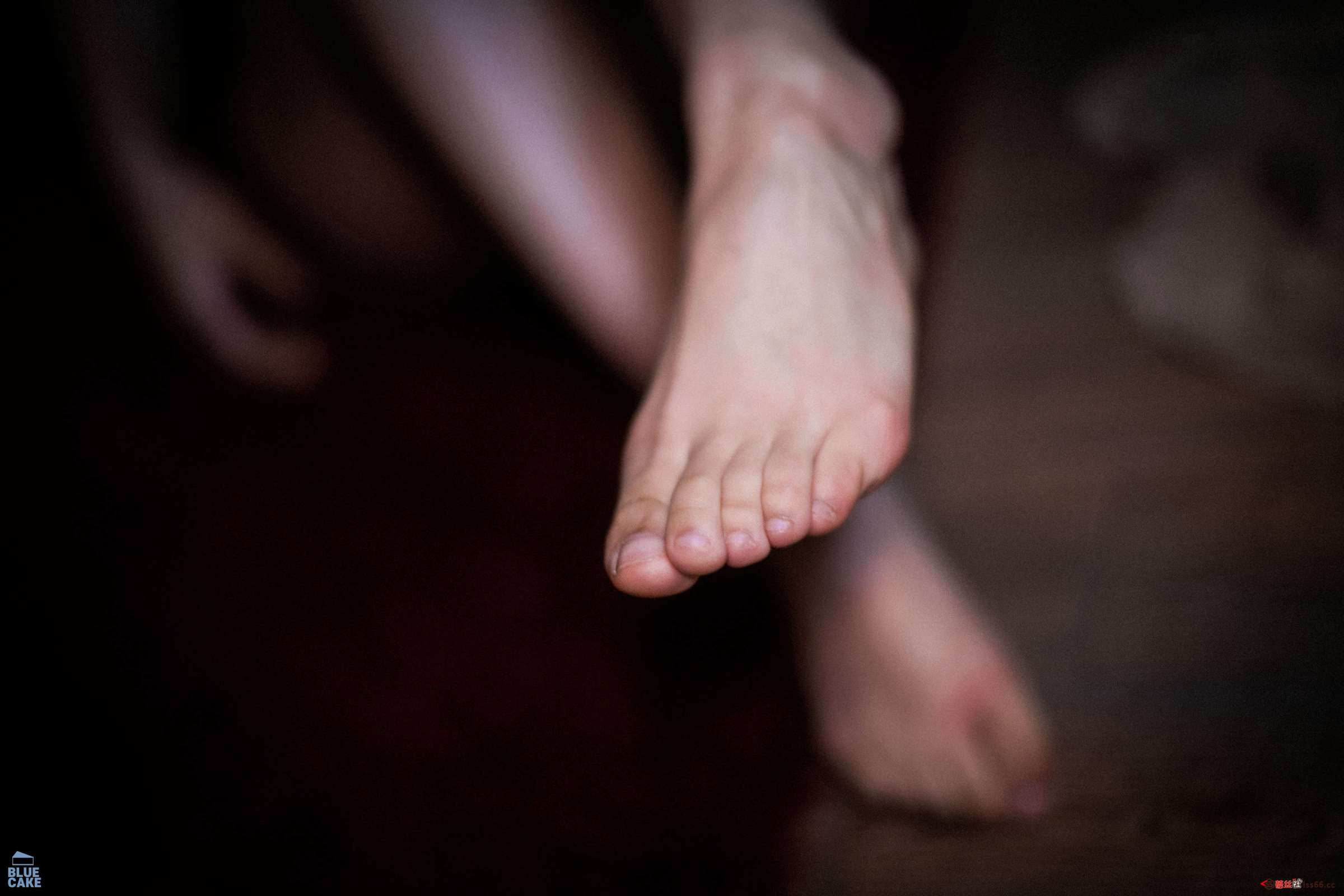 https://www.lss77.com/wp-content/uploads/2023/04/1680690803-8f03ad02c6cad60-2400x1600.jpg