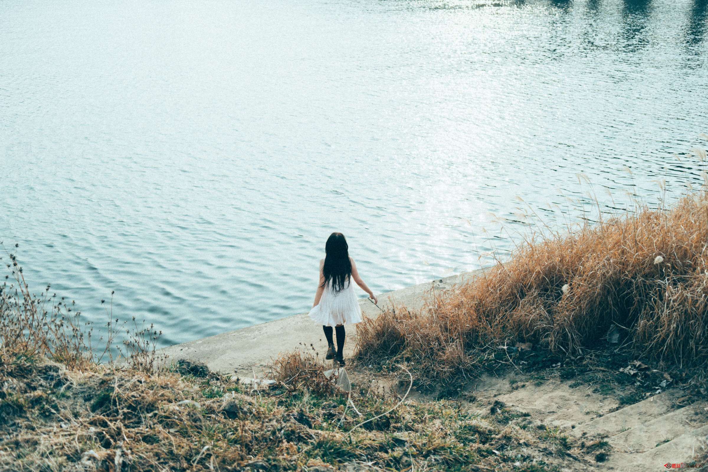 https://www.lss77.com/wp-content/uploads/2023/04/1681289469-9c3ce93643ed685-2400x1600.jpg