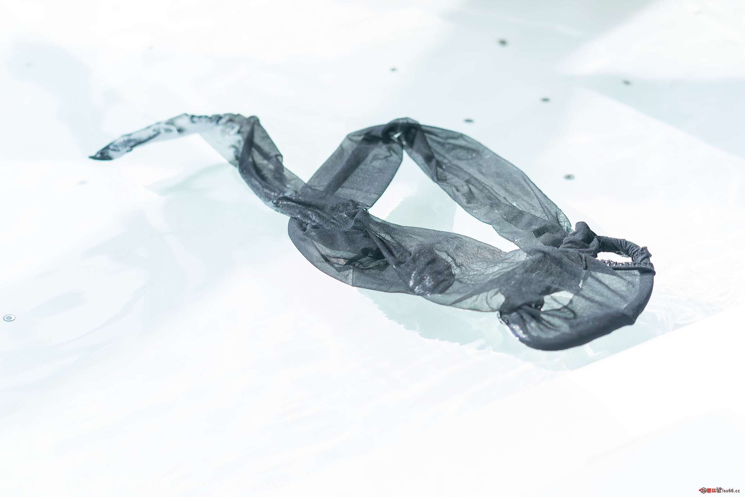 https://www.lss77.com/wp-content/uploads/2023/04/1681469355-bc0137b31ec76a5-2400x1600.jpg