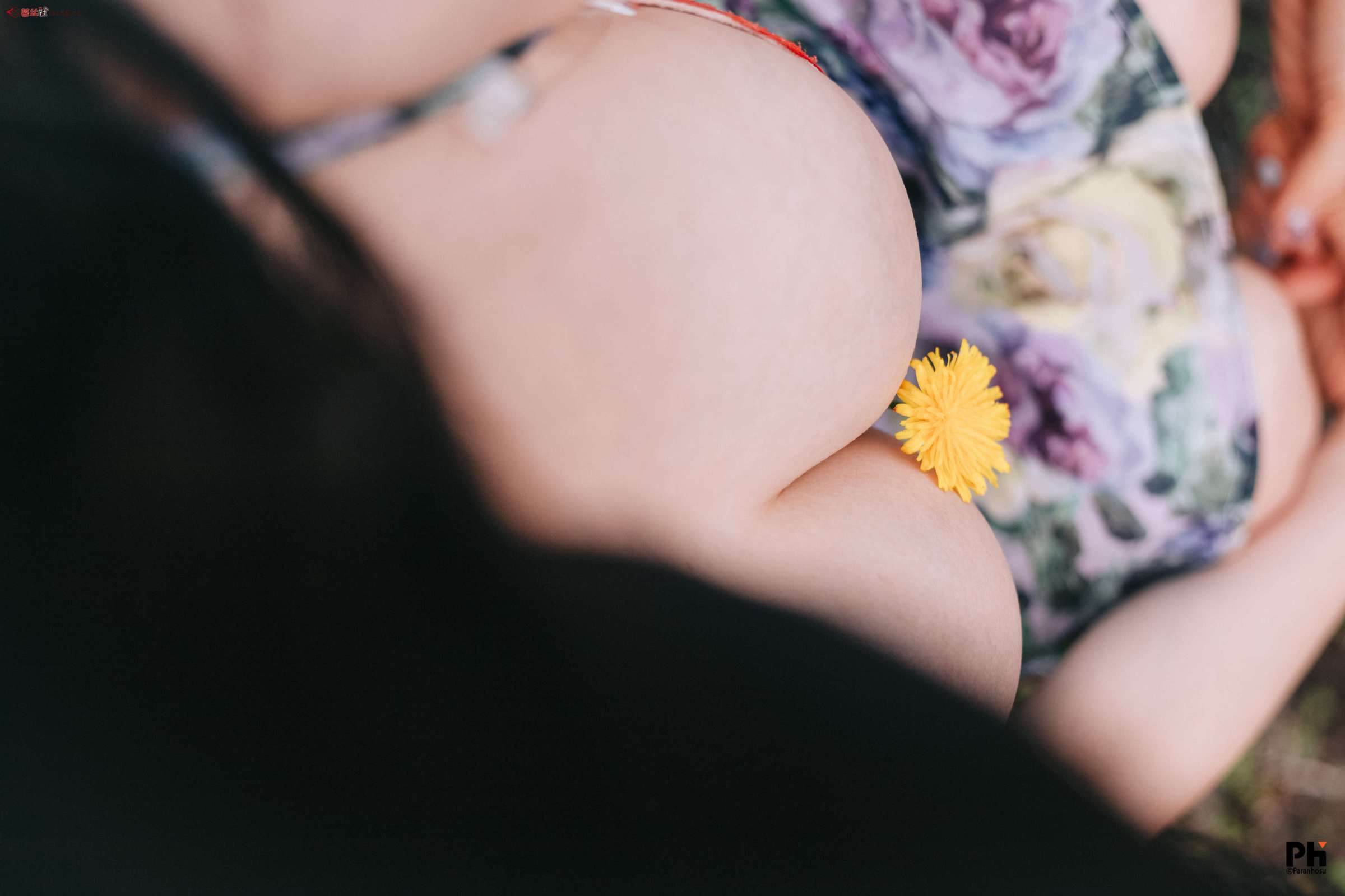 https://www.lss77.com/wp-content/uploads/2023/04/1681650373-c4de9fe96832a87-2400x1600.jpg