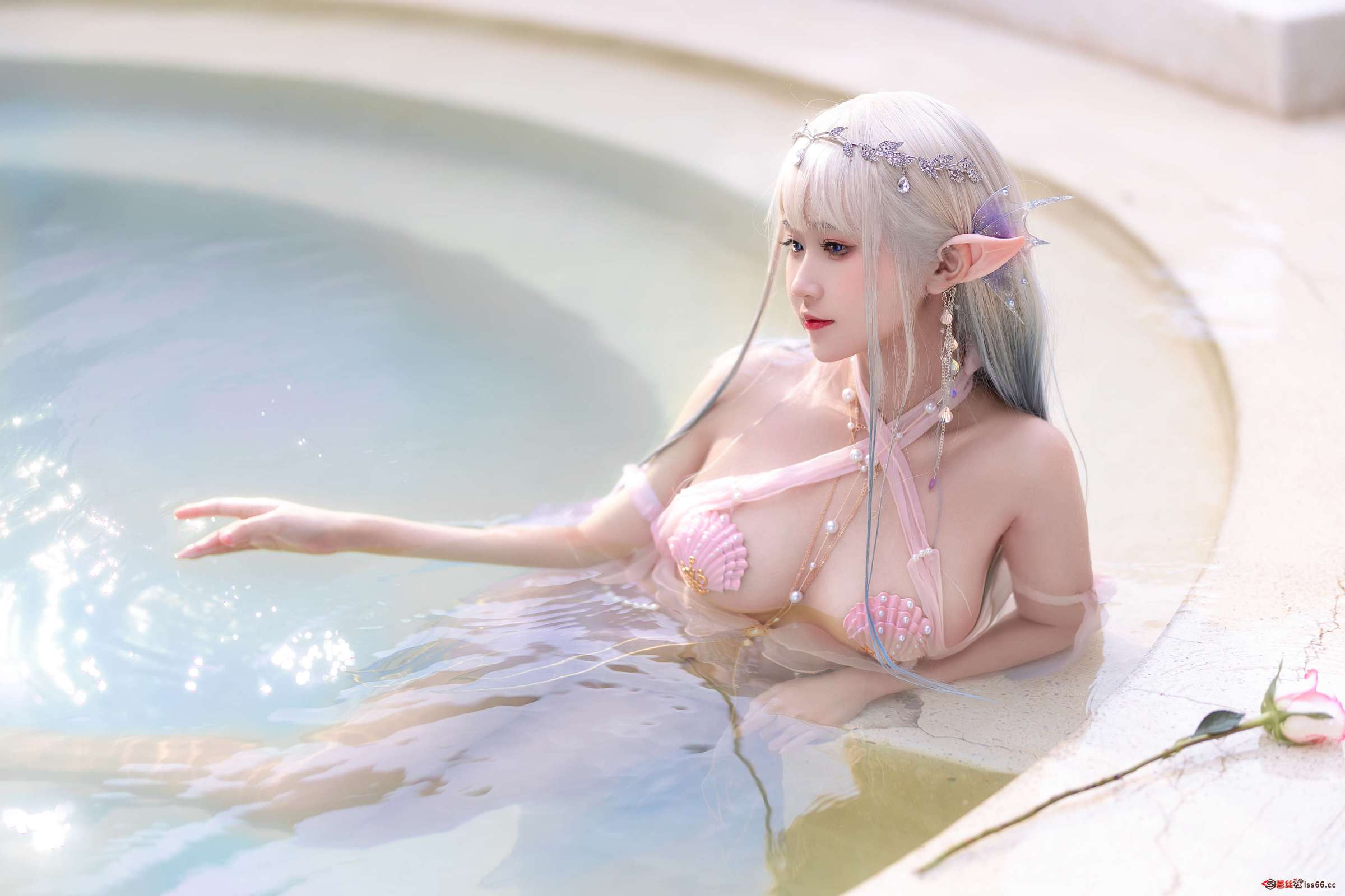 https://www.lss77.com/wp-content/uploads/2023/04/1681842125-dc5c7986daef50c-2400x1600.jpg