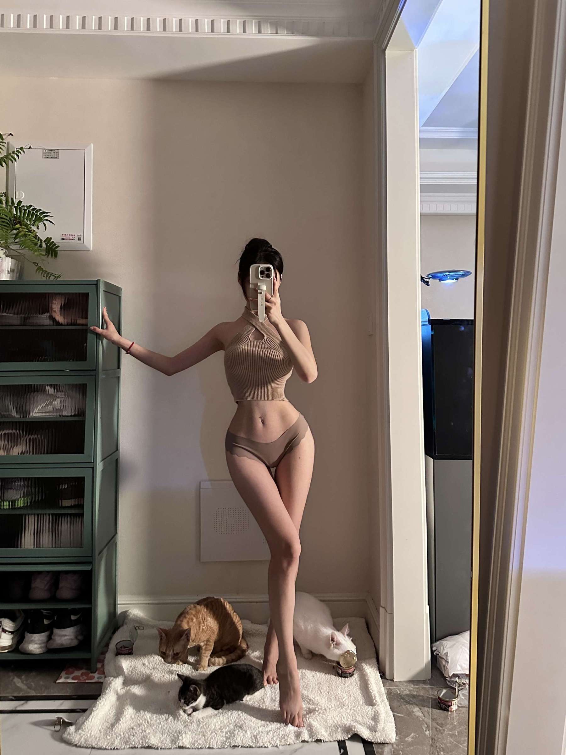 https://www.lss77.com/wp-content/uploads/2023/05/1682956570-bff82d18862ce94-1800x2400.jpeg