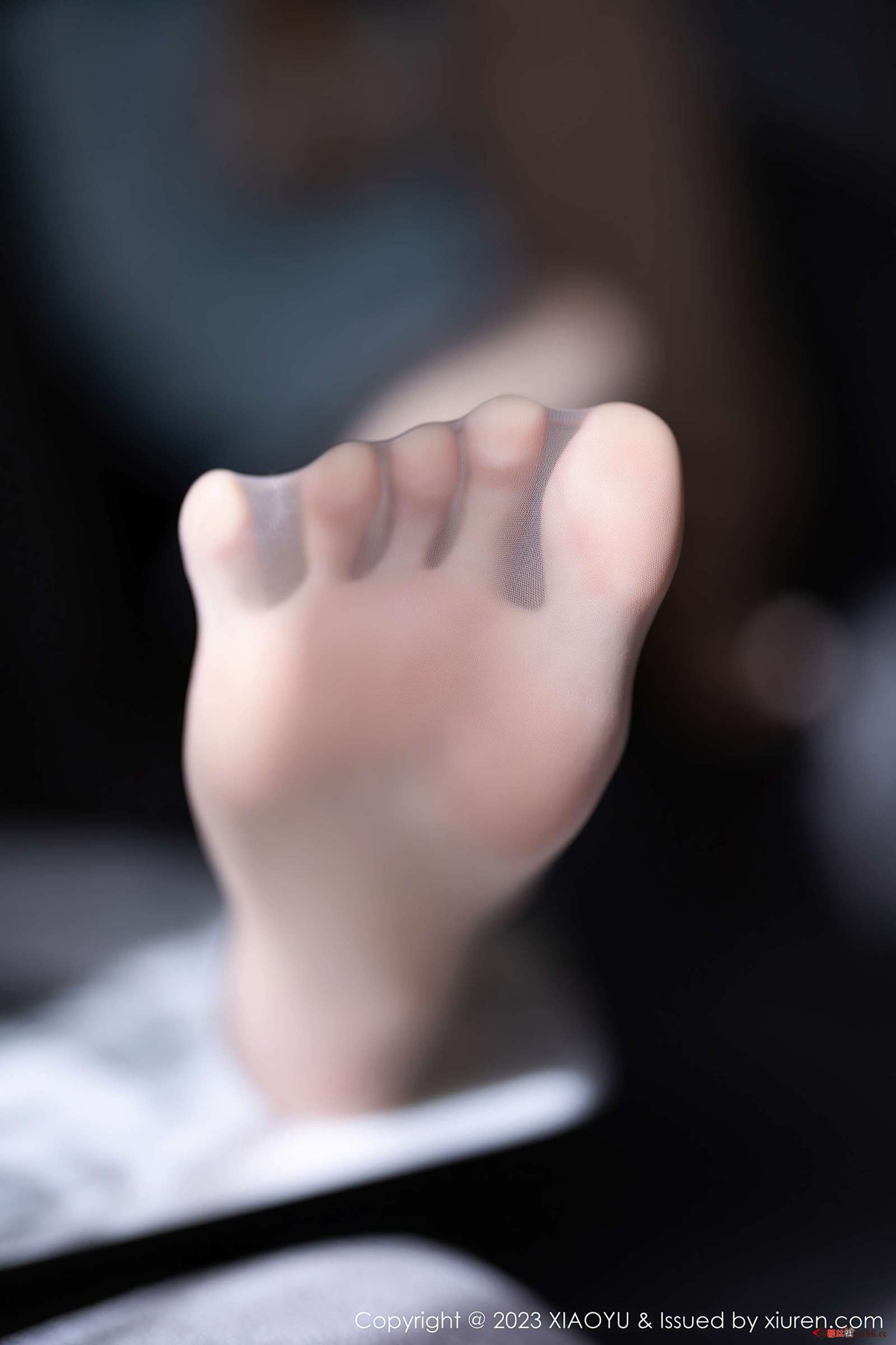 https://www.lss77.com/wp-content/uploads/2023/05/1683283639-0e0b24fc303d2b3-1600x2400.jpg