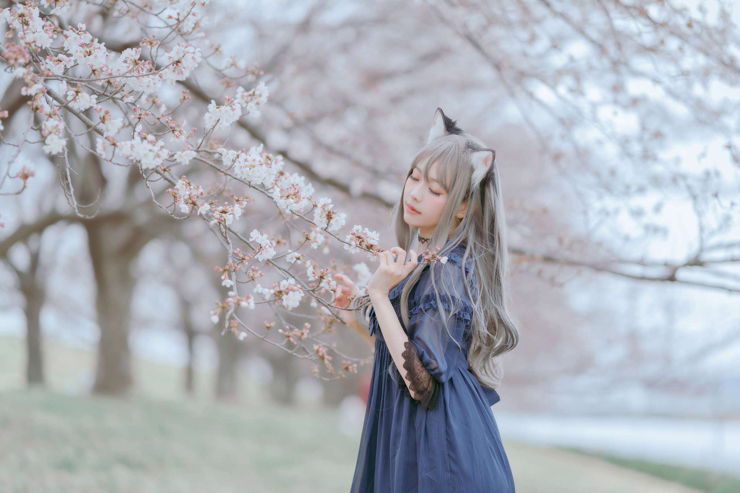 https://www.lss77.com/wp-content/uploads/2023/05/1683367781-9e94b15ed312fa4-2400x1601.jpg
