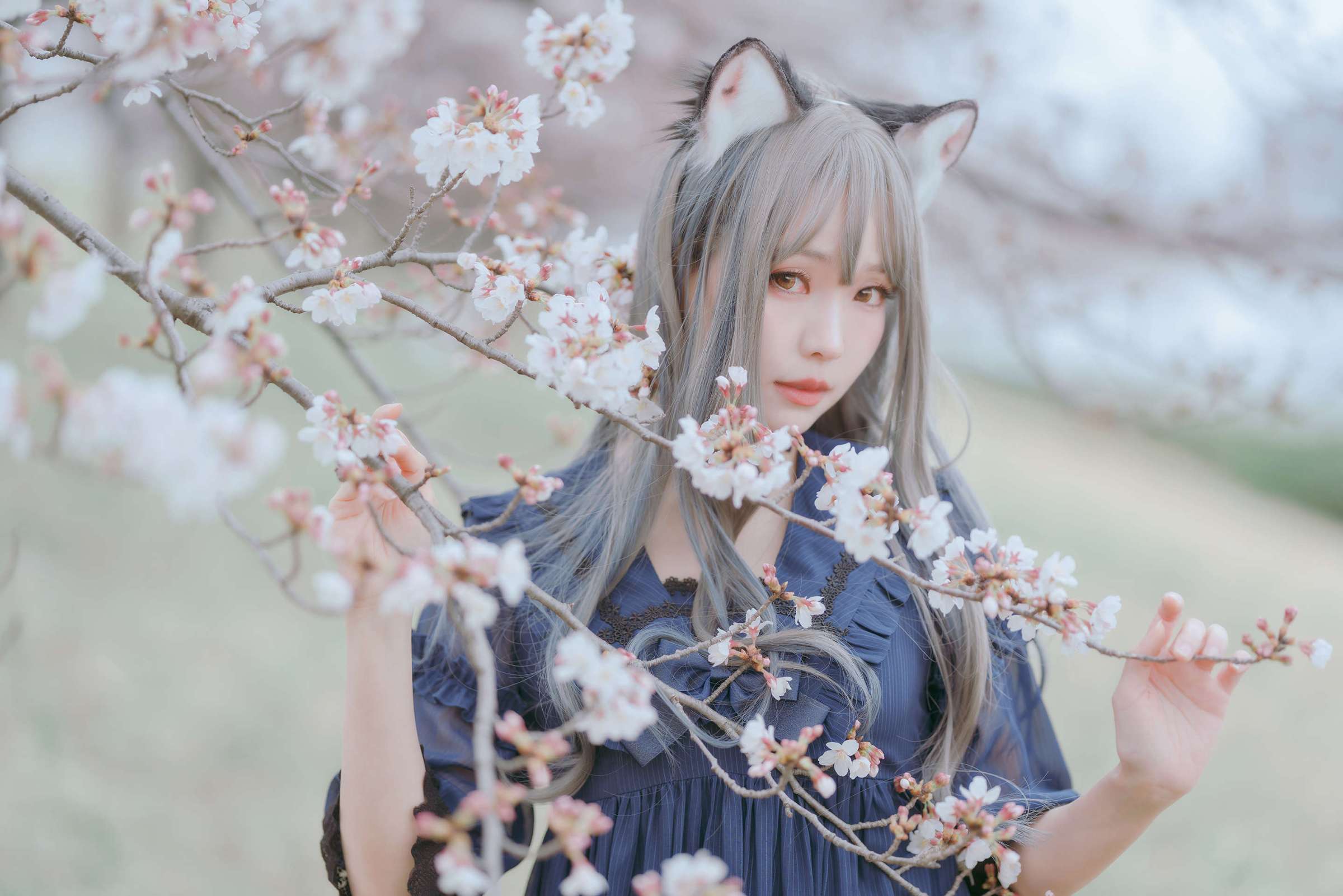 https://www.lss77.com/wp-content/uploads/2023/05/1683367796-a13ee062eff9d72-2400x1601.jpg