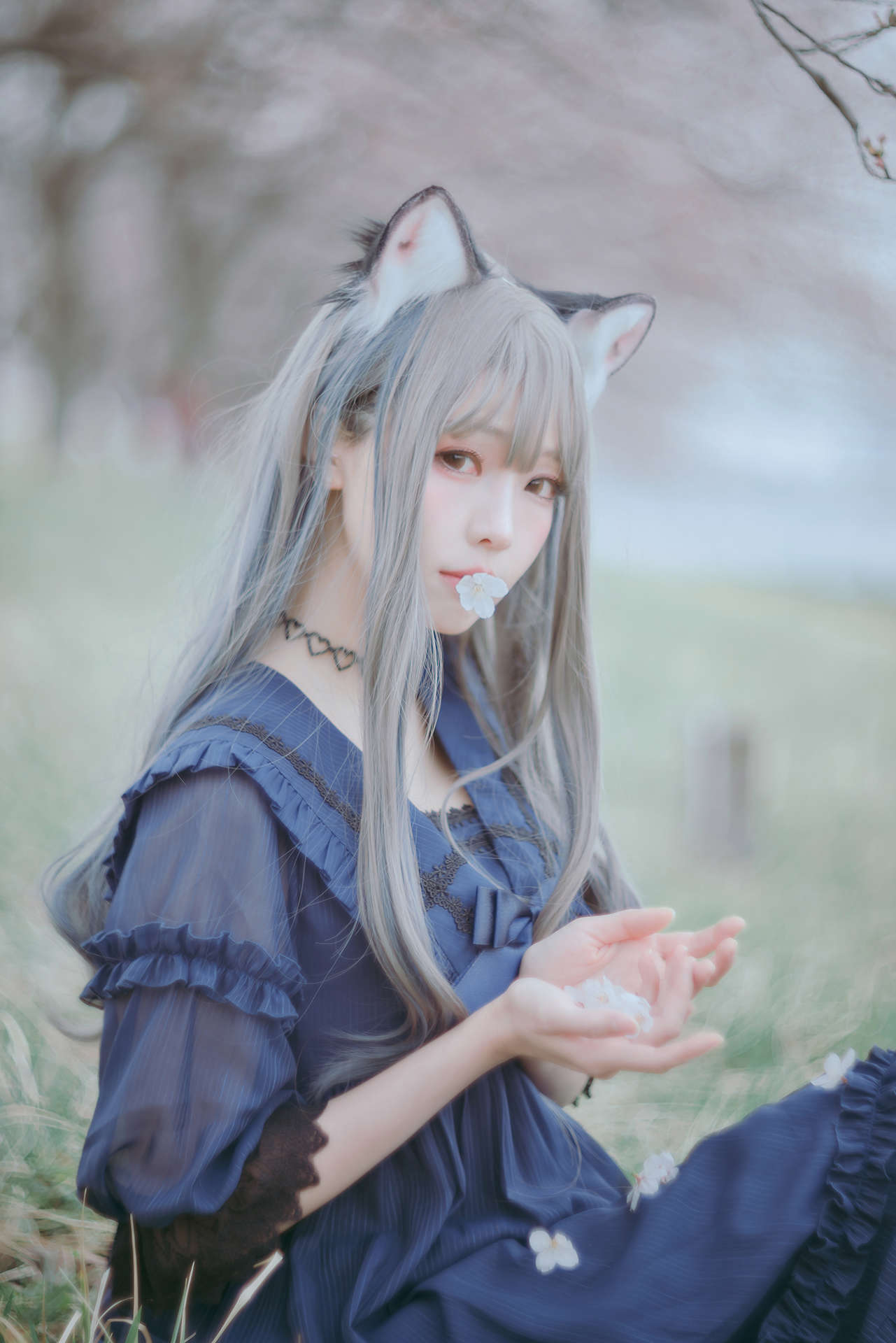 https://www.lss77.com/wp-content/uploads/2023/05/1683367886-0e51011a4c4891e.jpg