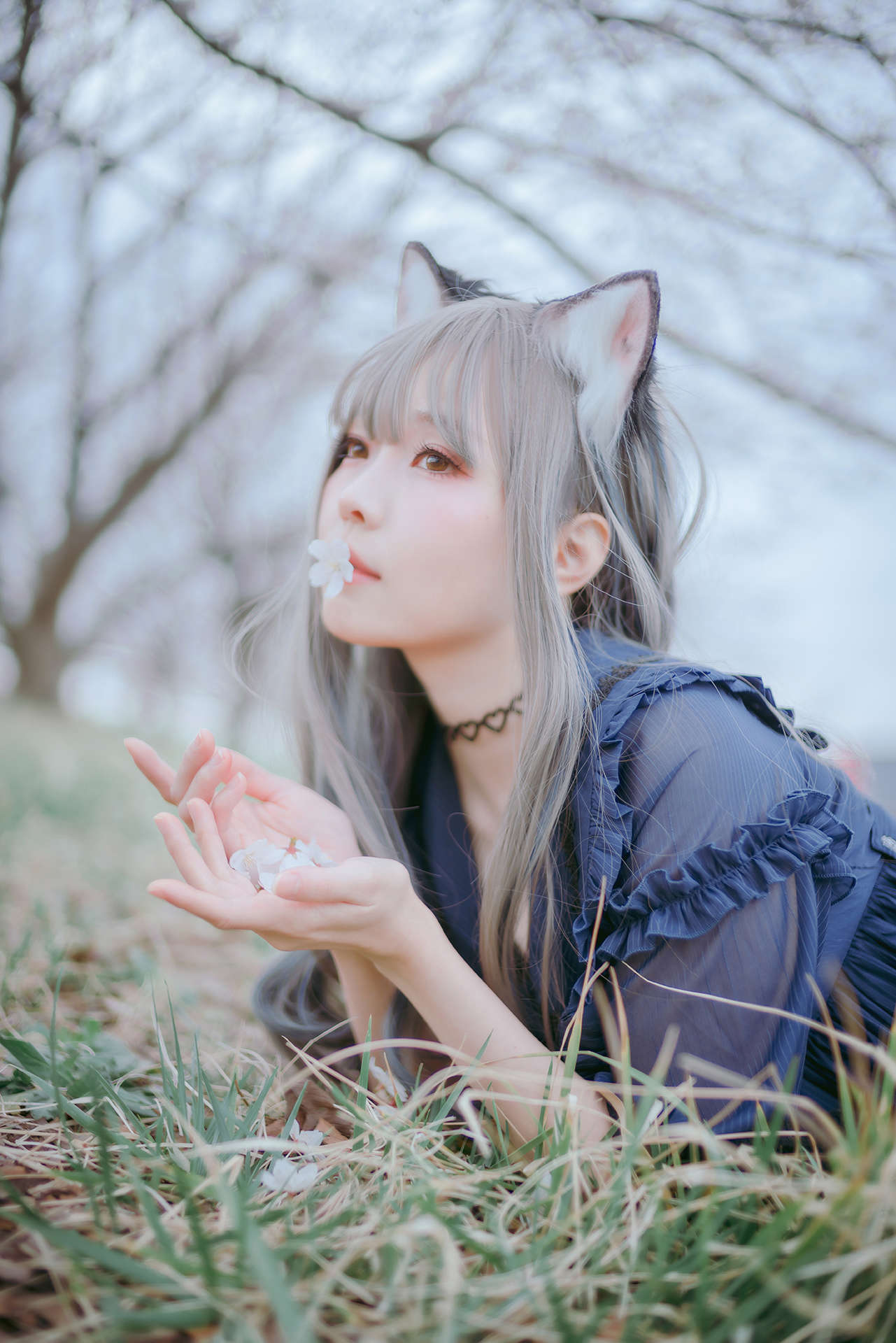 https://www.lss77.com/wp-content/uploads/2023/05/1683367980-f803dfeb3583d50.jpg