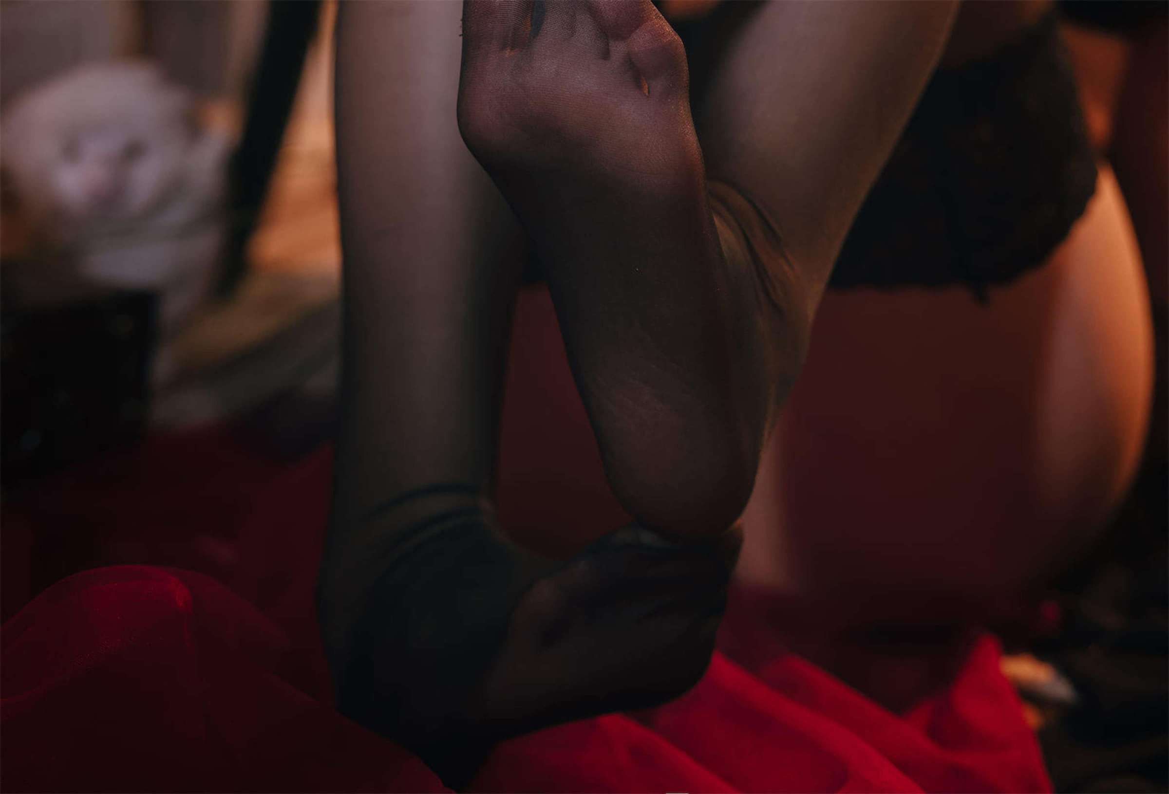 https://www.lss77.com/wp-content/uploads/2023/05/1683824797-5c7d5705ab73466-2400x1631.jpg