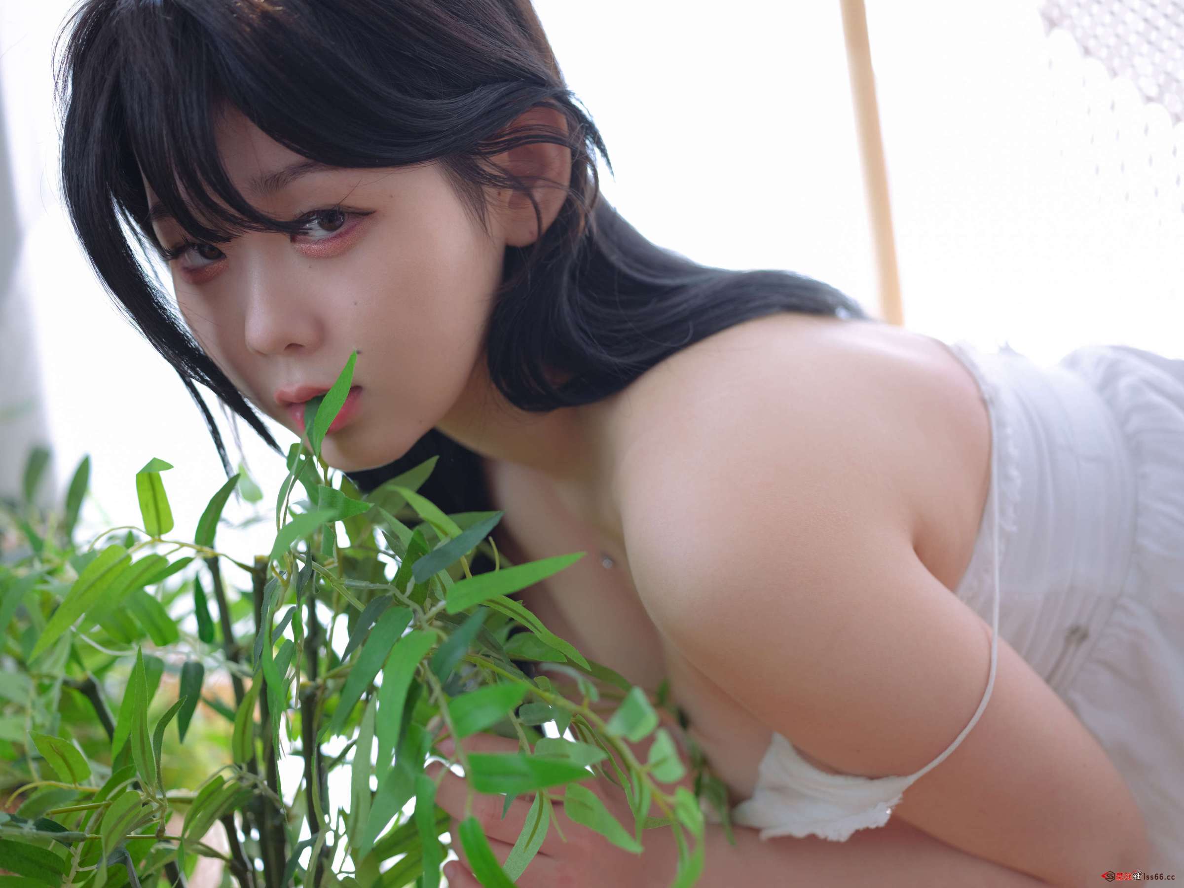 https://www.lss77.com/wp-content/uploads/2023/05/1683896598-307fd7f231593cf-2400x1800.jpg