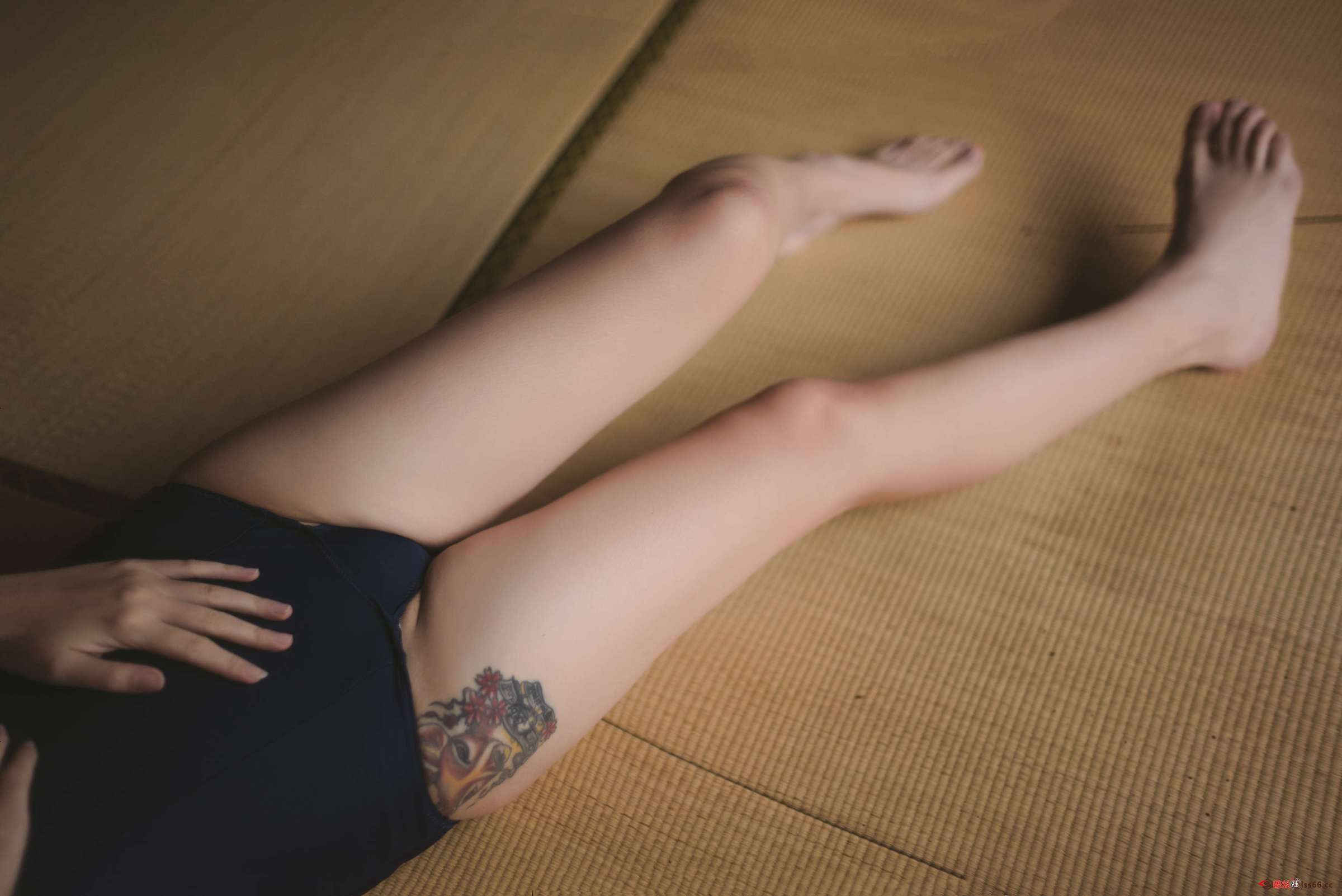https://www.lss77.com/wp-content/uploads/2023/05/1684006239-d1f06d78c49ae2f-2400x1602.jpg