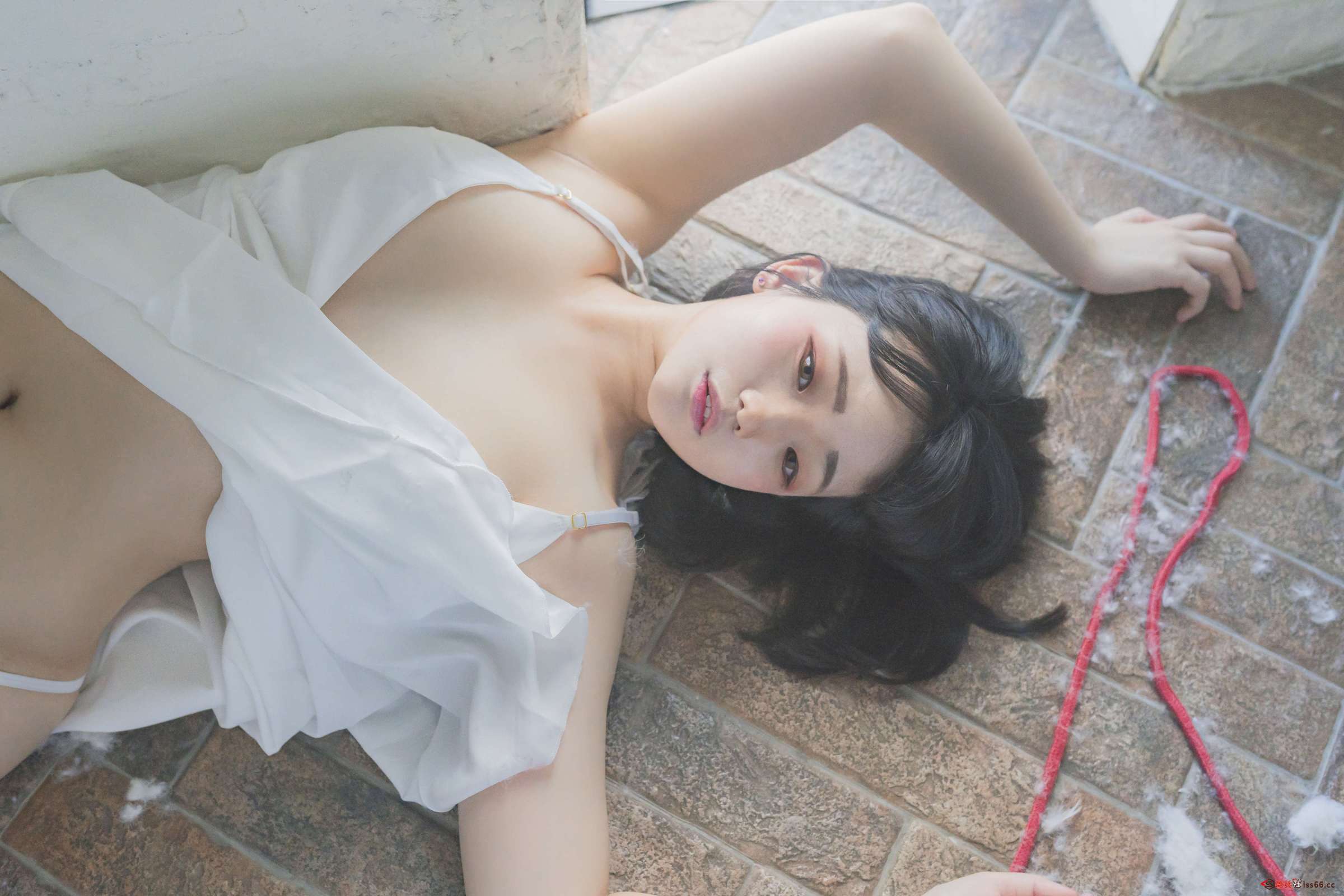 https://www.lss77.com/wp-content/uploads/2023/05/1684604146-c3f484315c27d75-2400x1600.jpg