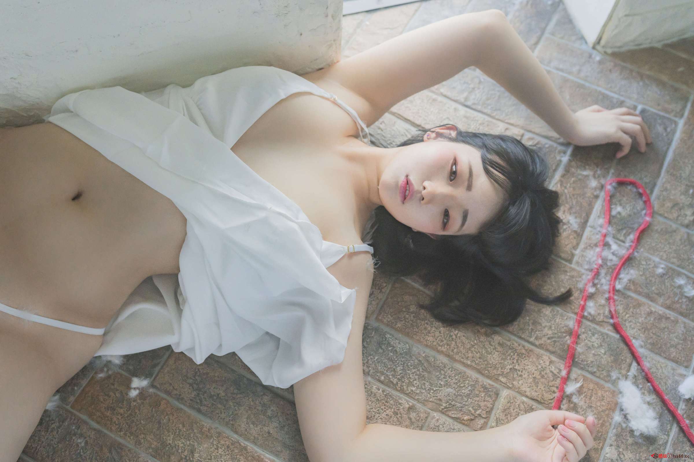 https://www.lss77.com/wp-content/uploads/2023/05/1684604158-6858fb45a3d3aef-2400x1600.jpg