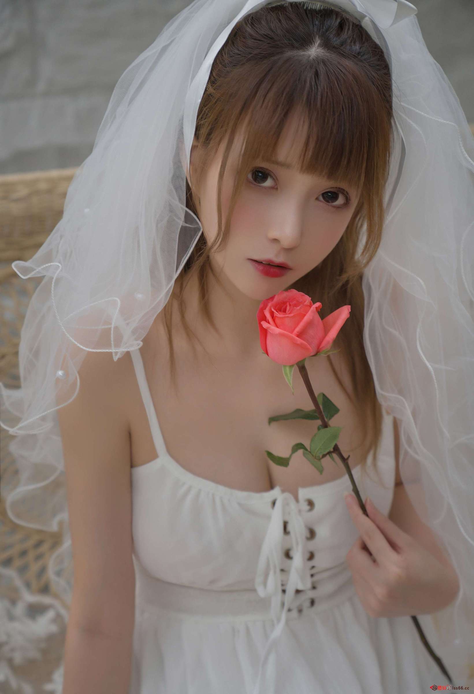 https://www.lss77.com/wp-content/uploads/2023/05/1684682678-926abae84a4bd33-1641x2400.jpg