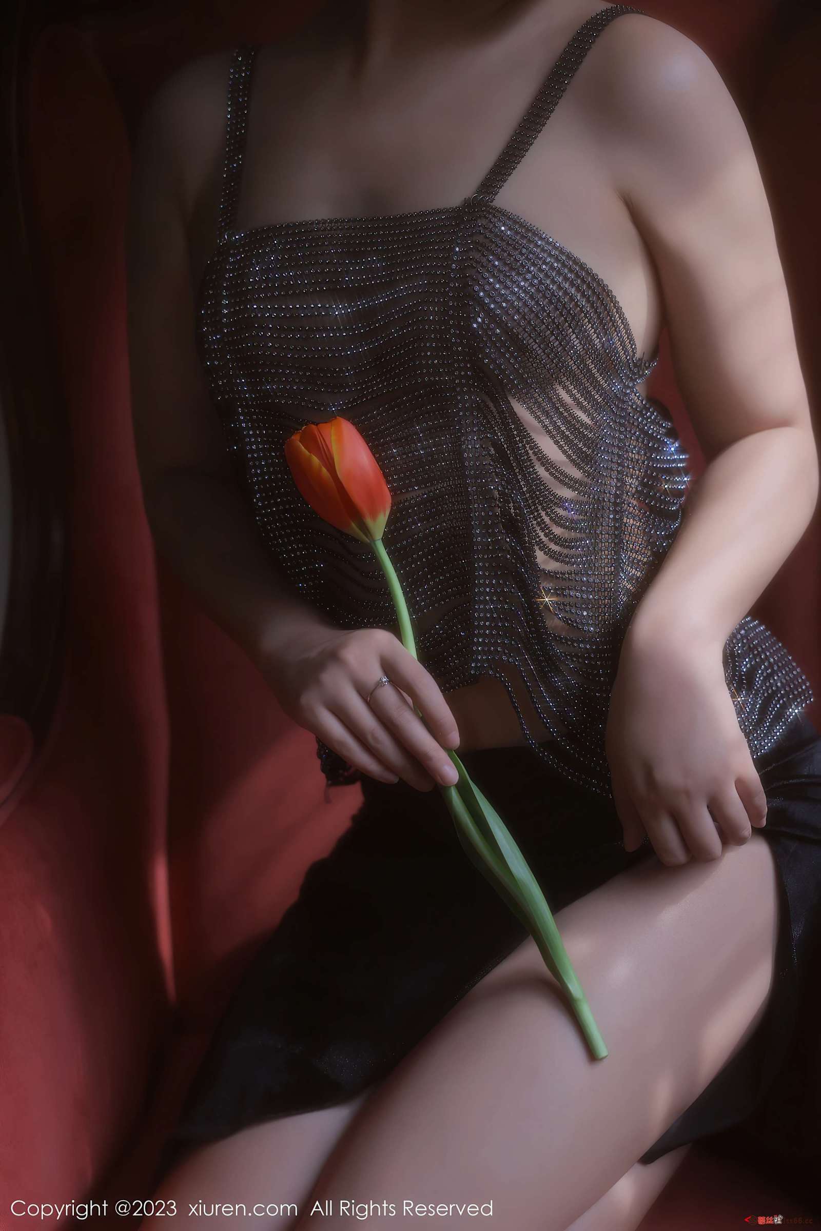 https://www.lss77.com/wp-content/uploads/2023/05/1684752699-02d4c7920bb22a9-1600x2400.jpg