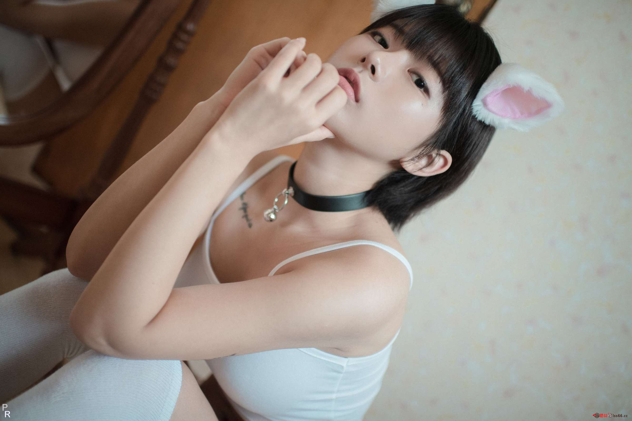 https://www.lss77.com/wp-content/uploads/2023/05/1684862998-ecee596a242de13-2400x1600.jpg