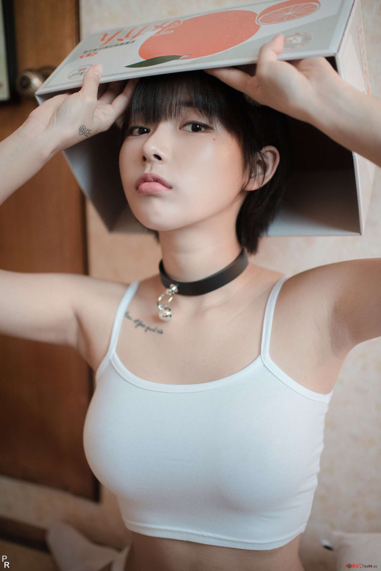 https://www.lss77.com/wp-content/uploads/2023/05/1684863047-2ebe25dd3a566f3-1600x2400.jpg