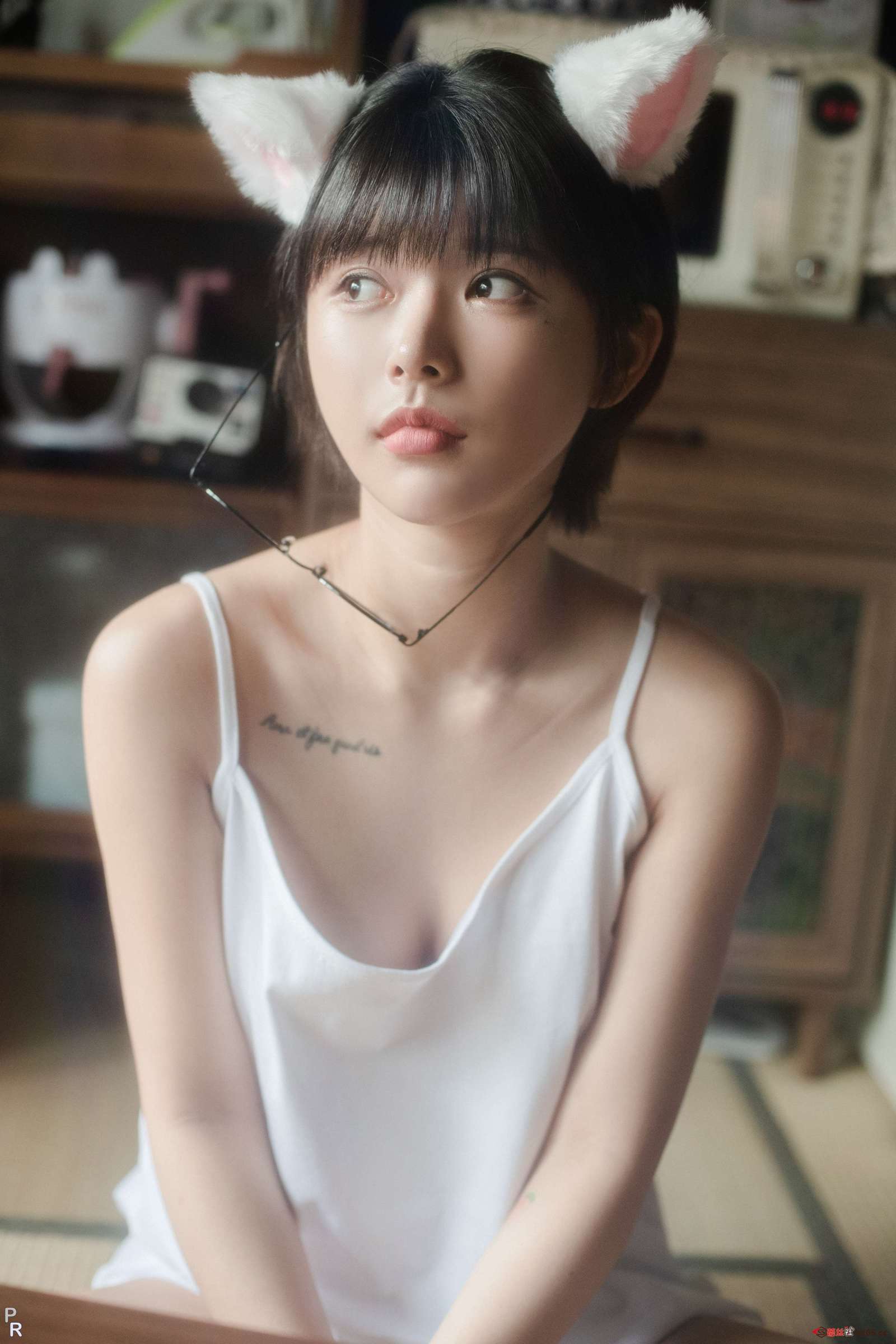 https://www.lss77.com/wp-content/uploads/2023/05/1684863413-28b0eb6a294557f-1600x2400.jpg