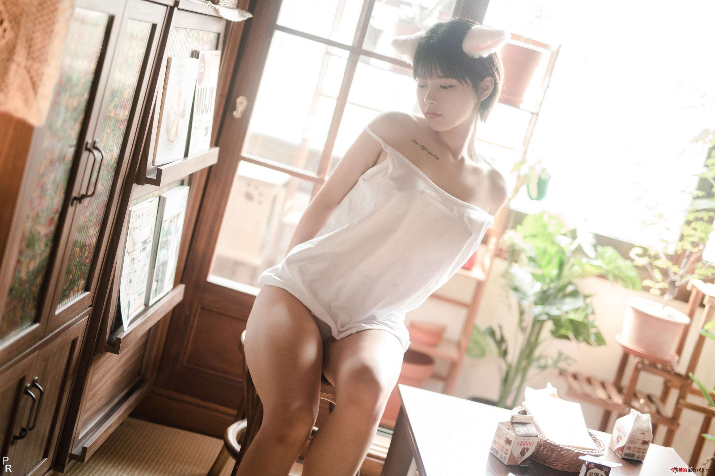 https://www.lss77.com/wp-content/uploads/2023/05/1684863574-6caa1e4e0a322c4-2400x1600.jpg