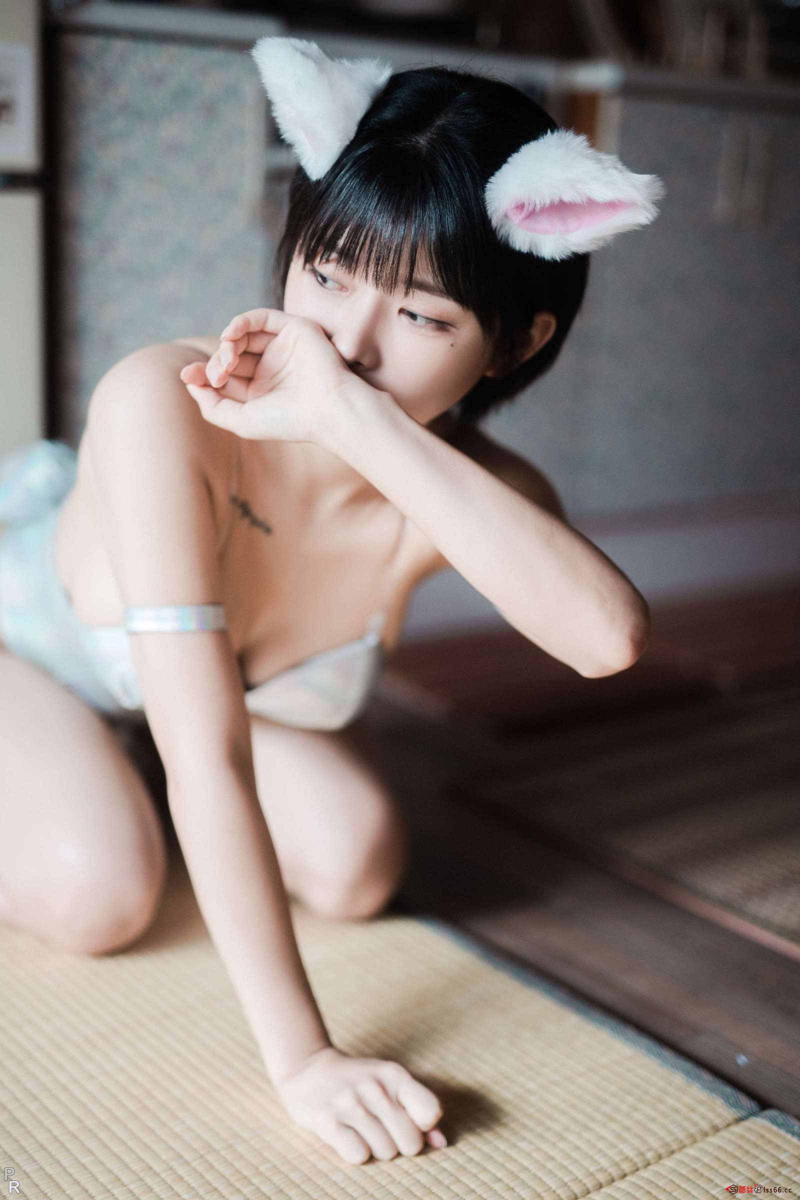 https://www.lss77.com/wp-content/uploads/2023/05/1684863763-371dbe4b2cf1d2e-1600x2400.jpg