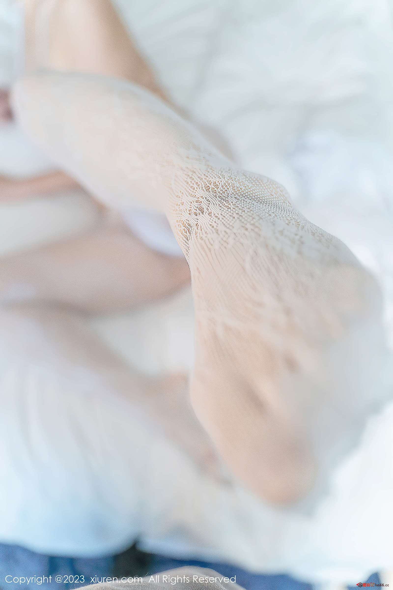 https://www.lss77.com/wp-content/uploads/2023/05/1685008951-99cb58d2d19256c-1600x2400.jpg