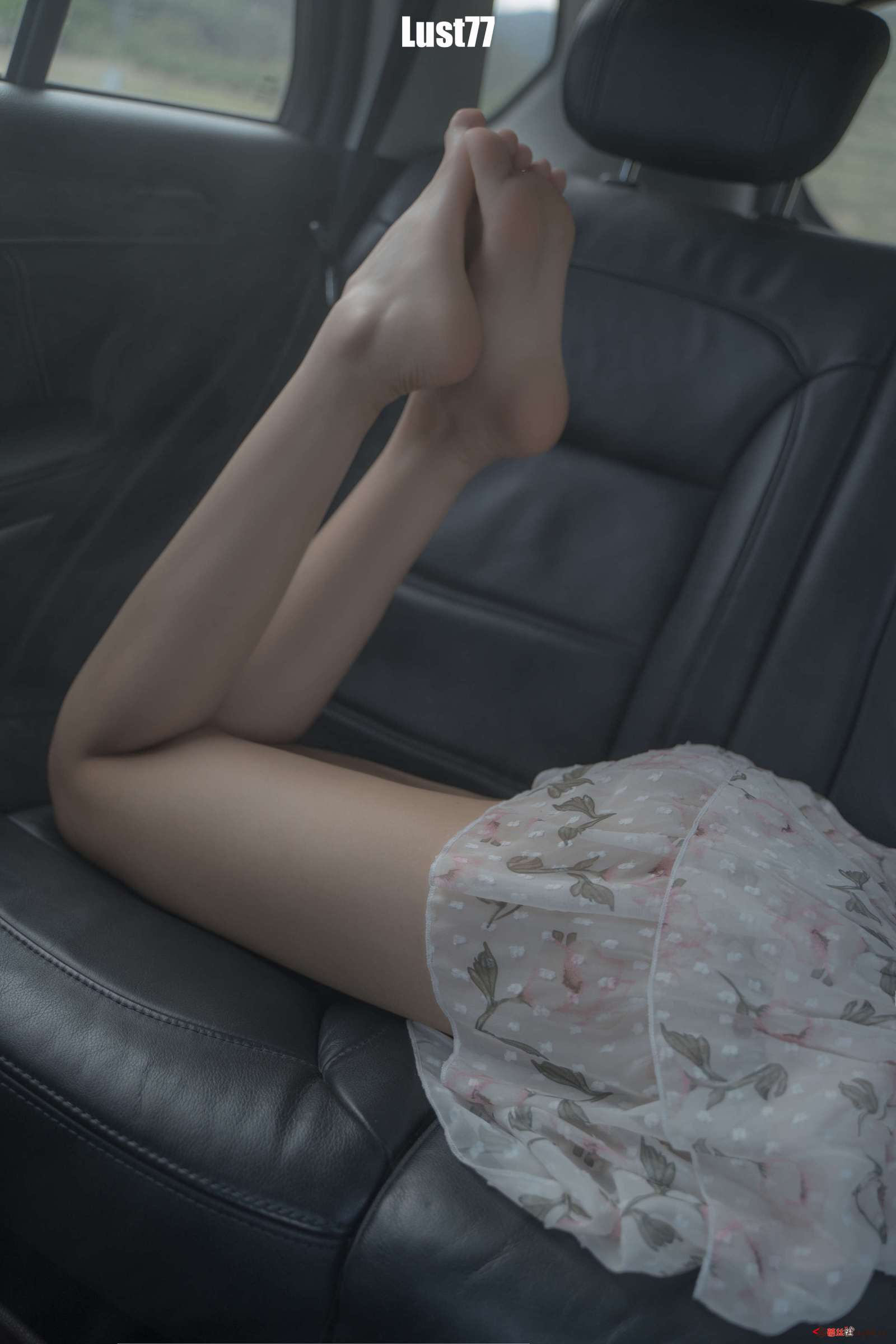 https://www.lss77.com/wp-content/uploads/2023/05/1685013250-f5102568d9ebd64-1600x2400.jpg