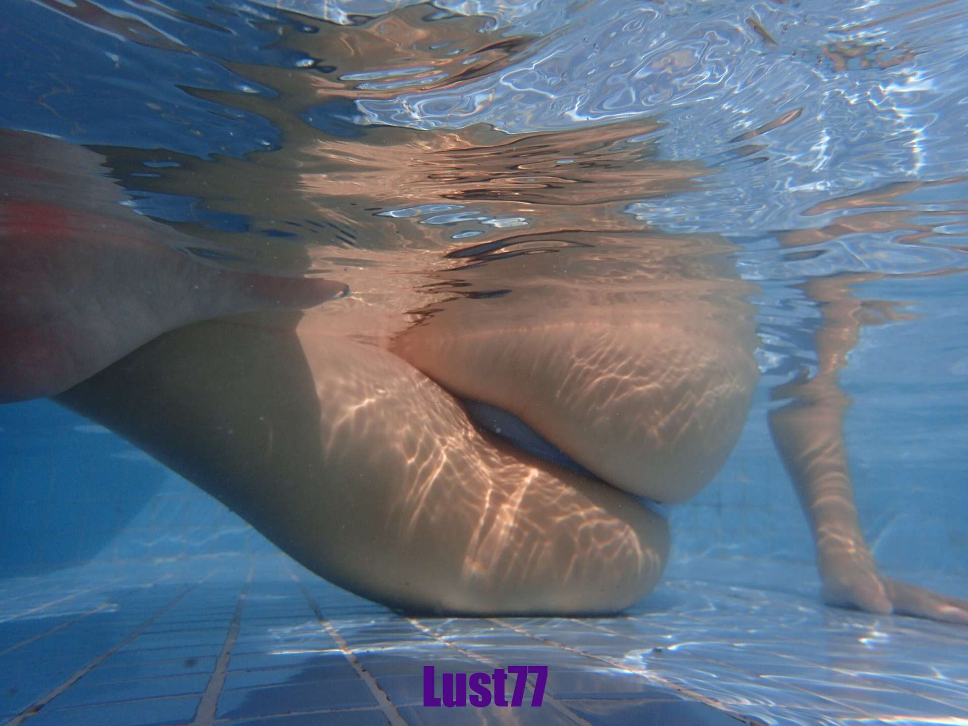 https://www.lss77.com/wp-content/uploads/2023/05/1685209565-14bfa6bb14875e4.jpg