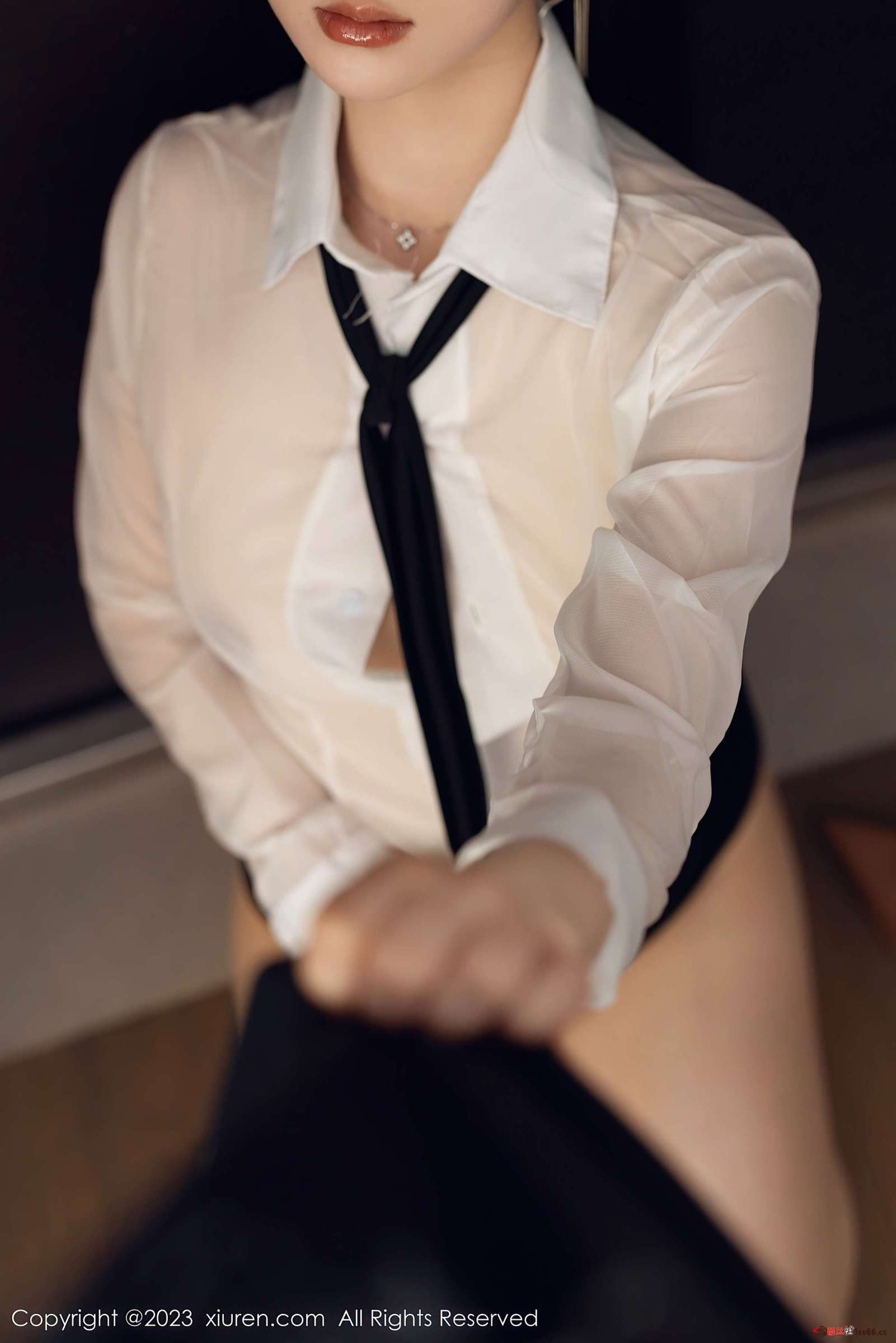 https://www.lss77.com/wp-content/uploads/2023/06/1686570051-926abae84a4bd33-1601x2400.jpg