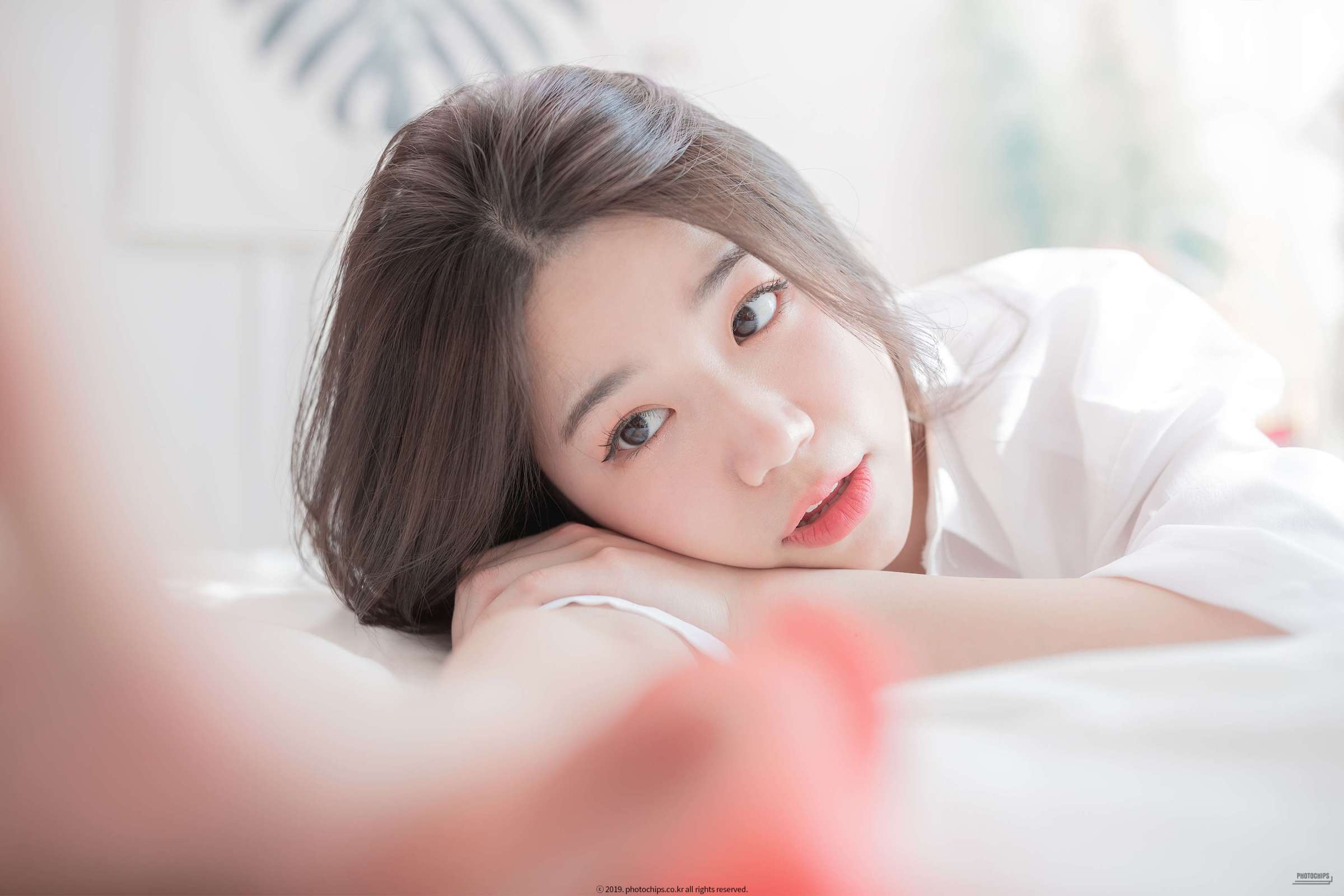 https://www.lss77.com/wp-content/uploads/2023/06/1687158251-275a967a527ef7d-2400x1600.jpg