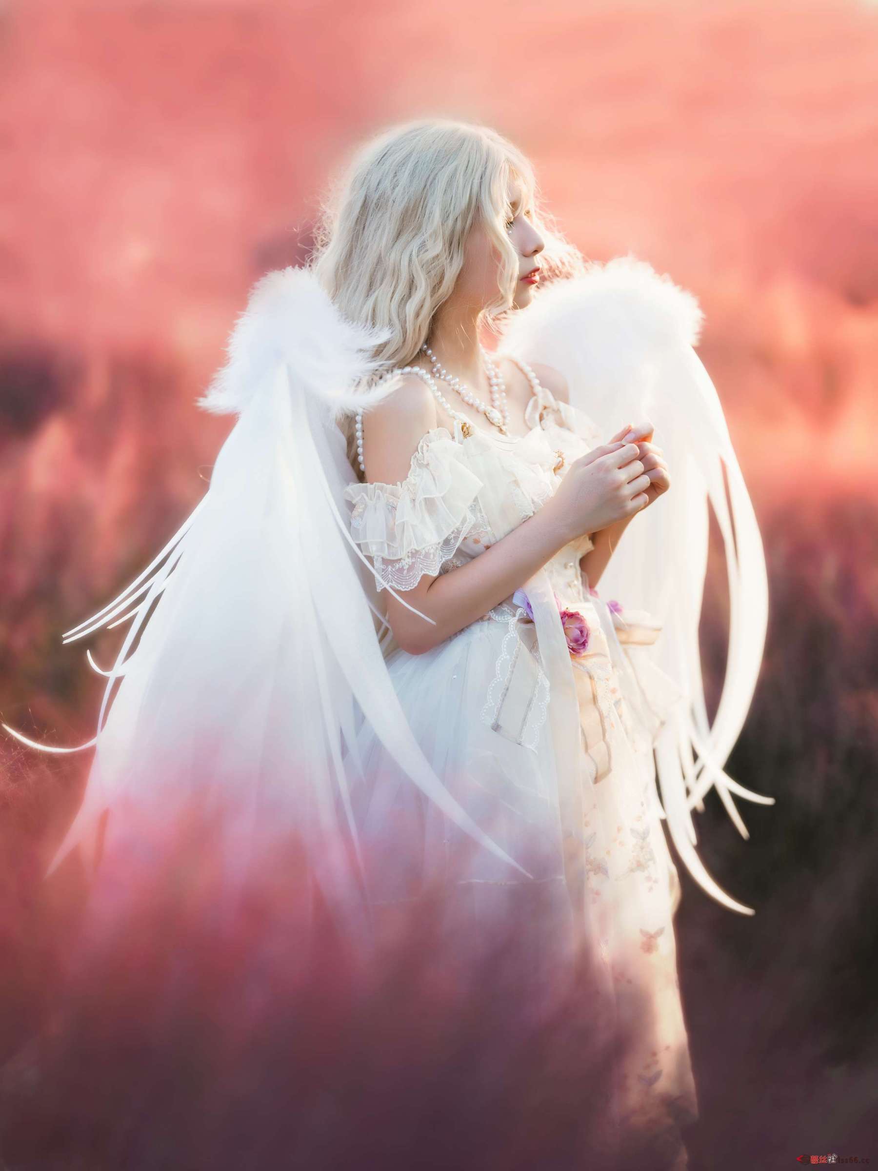 https://www.lss77.com/wp-content/uploads/2023/06/1688030773-93dd4de5cddba2c-1800x2400.jpg
