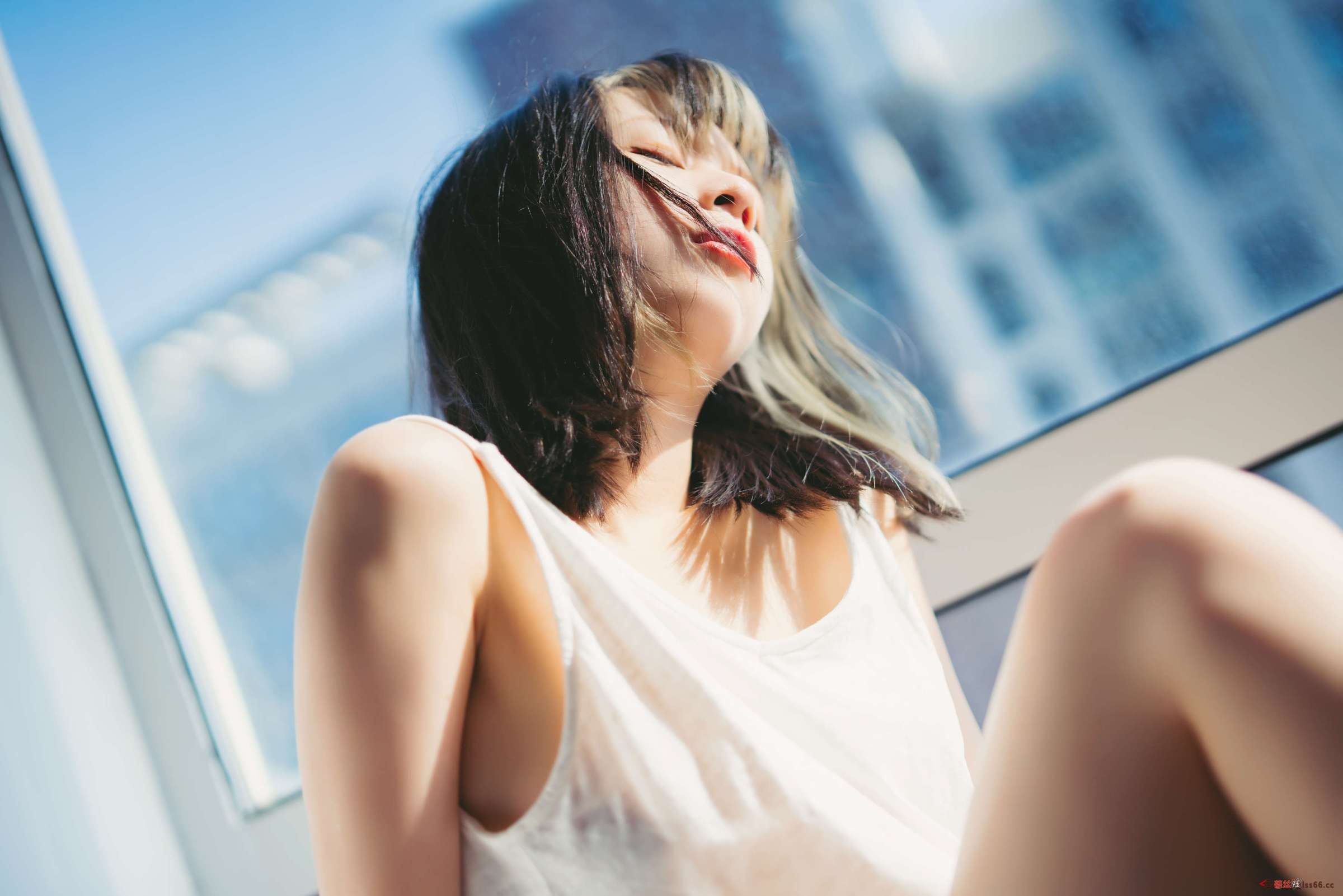 https://www.lss77.com/wp-content/uploads/2023/06/1688030811-e88a49bccde359f-2400x1601.jpg