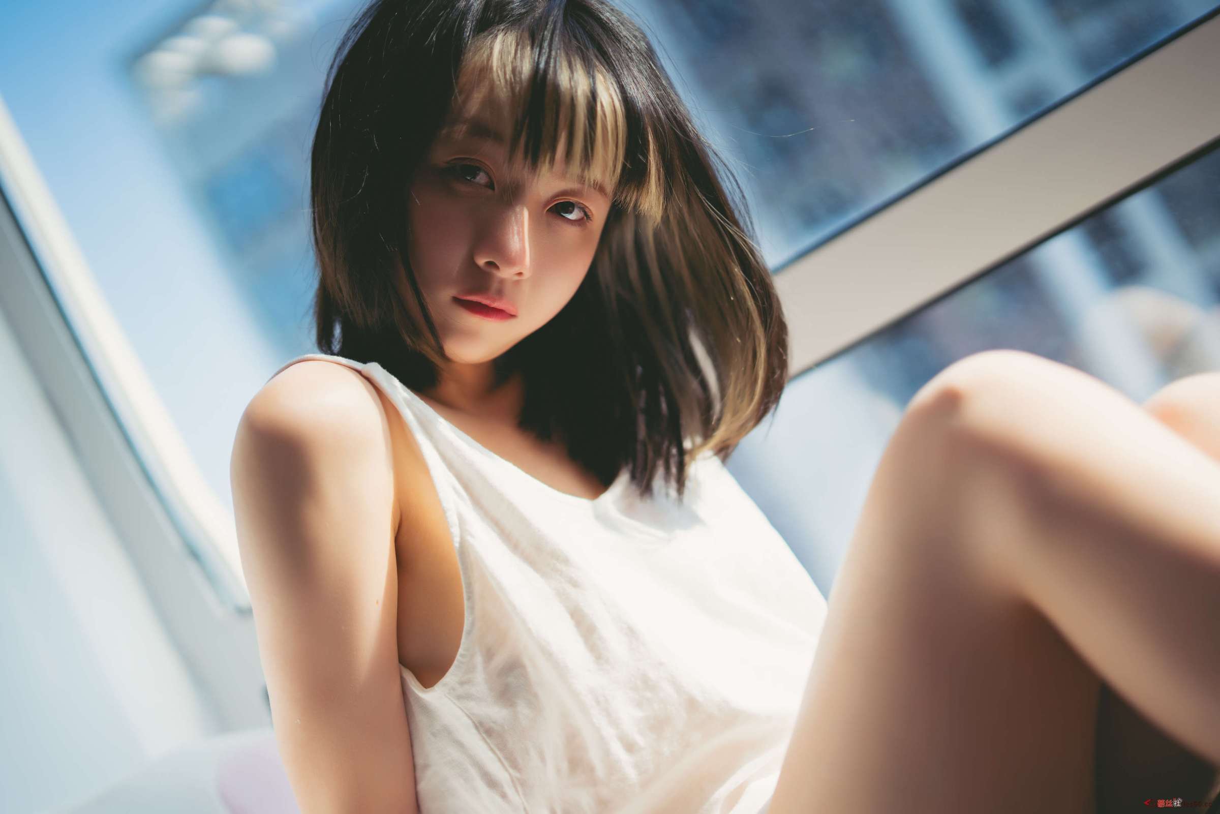 https://www.lss77.com/wp-content/uploads/2023/06/1688030835-11364907cf269dd-2400x1601.jpg