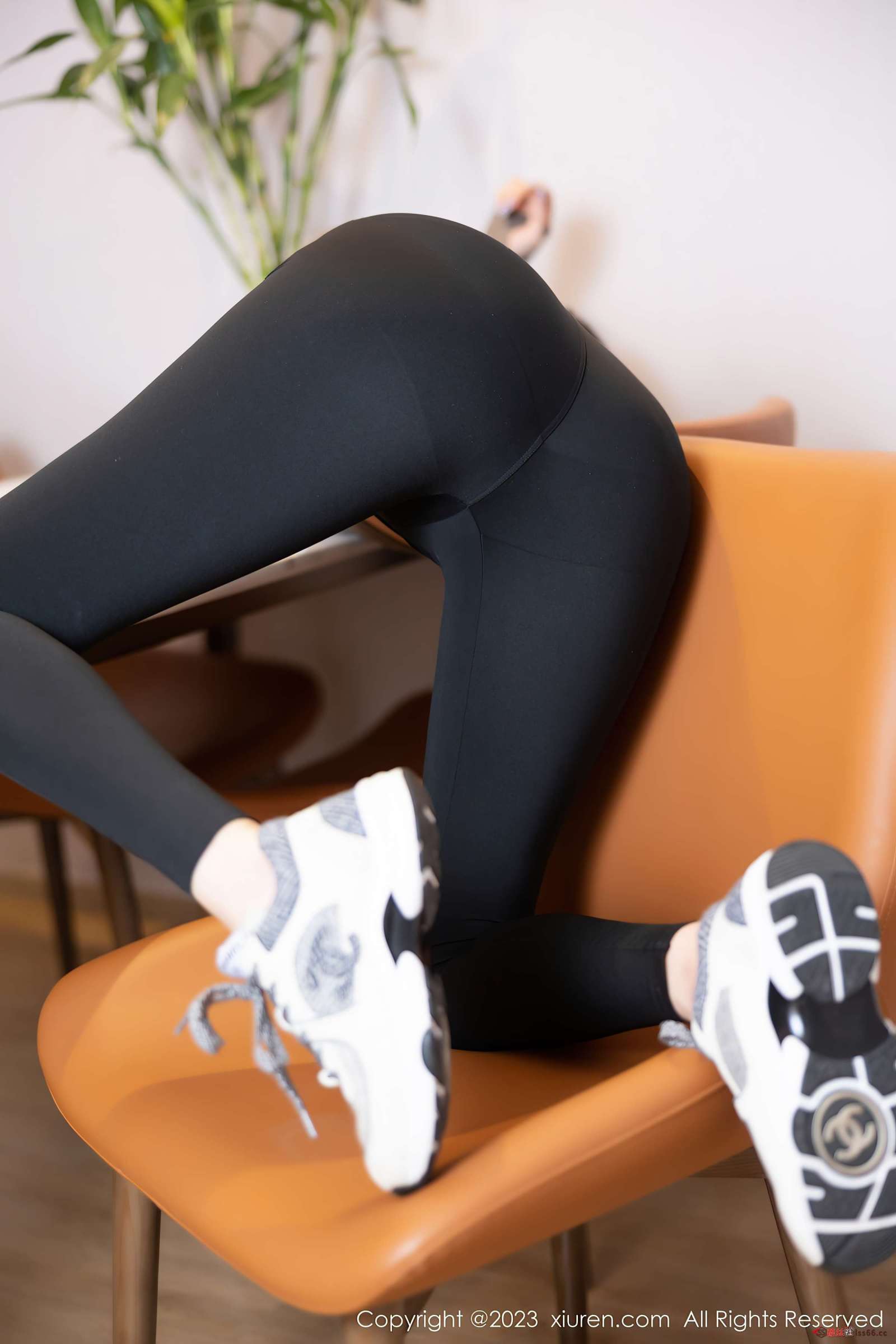 https://www.lss77.com/wp-content/uploads/2023/07/1688382869-540bd55a2cf295b-1600x2400.jpg