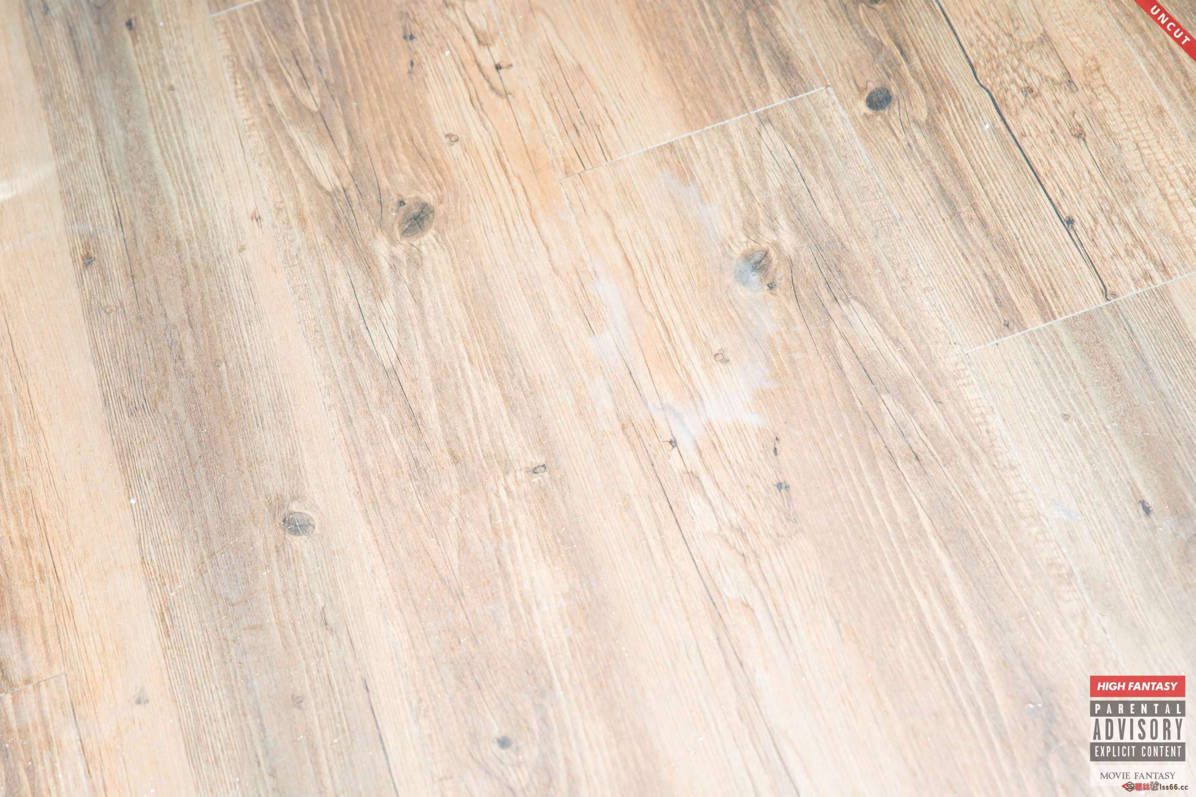 https://www.lss77.com/wp-content/uploads/2023/07/1689880717-5c7d5705ab73466-2400x1600.jpg