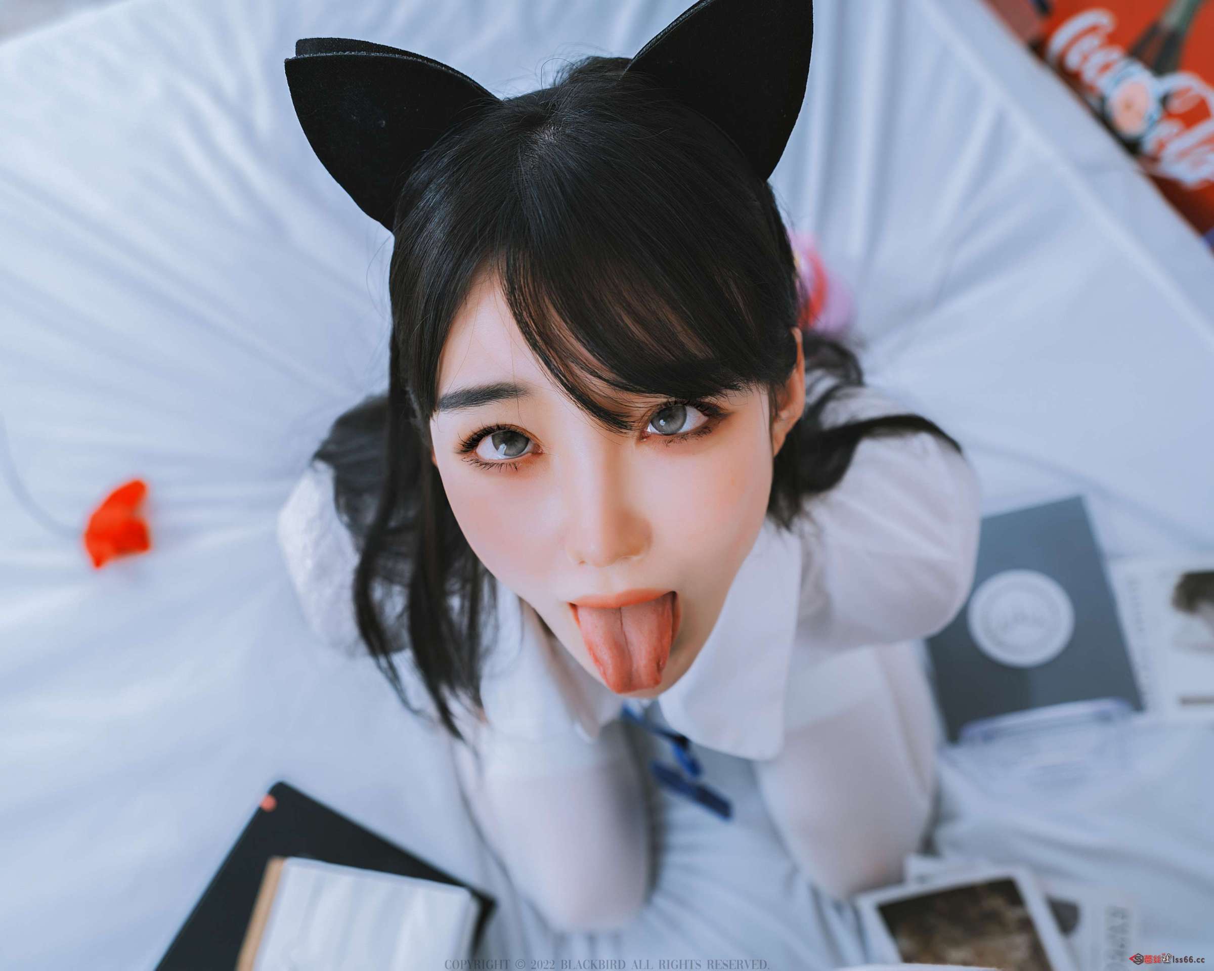 https://www.lss77.com/wp-content/uploads/2023/07/1690307605-c0279f73075a52e-2400x1920.jpg
