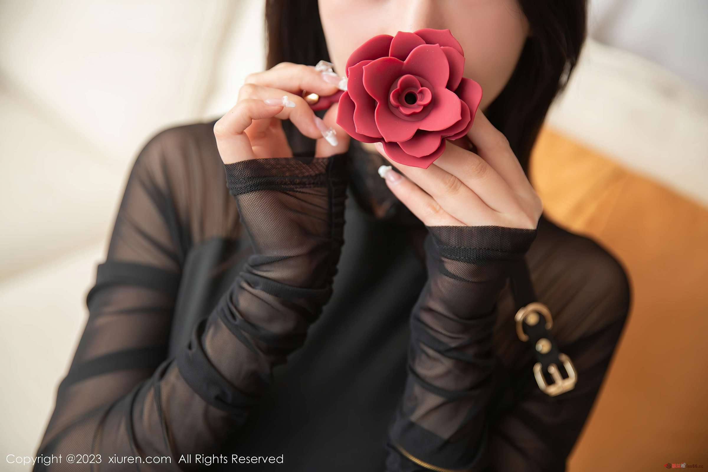 https://www.lss77.com/wp-content/uploads/2023/07/1690776144-926abae84a4bd33-2400x1600.jpg
