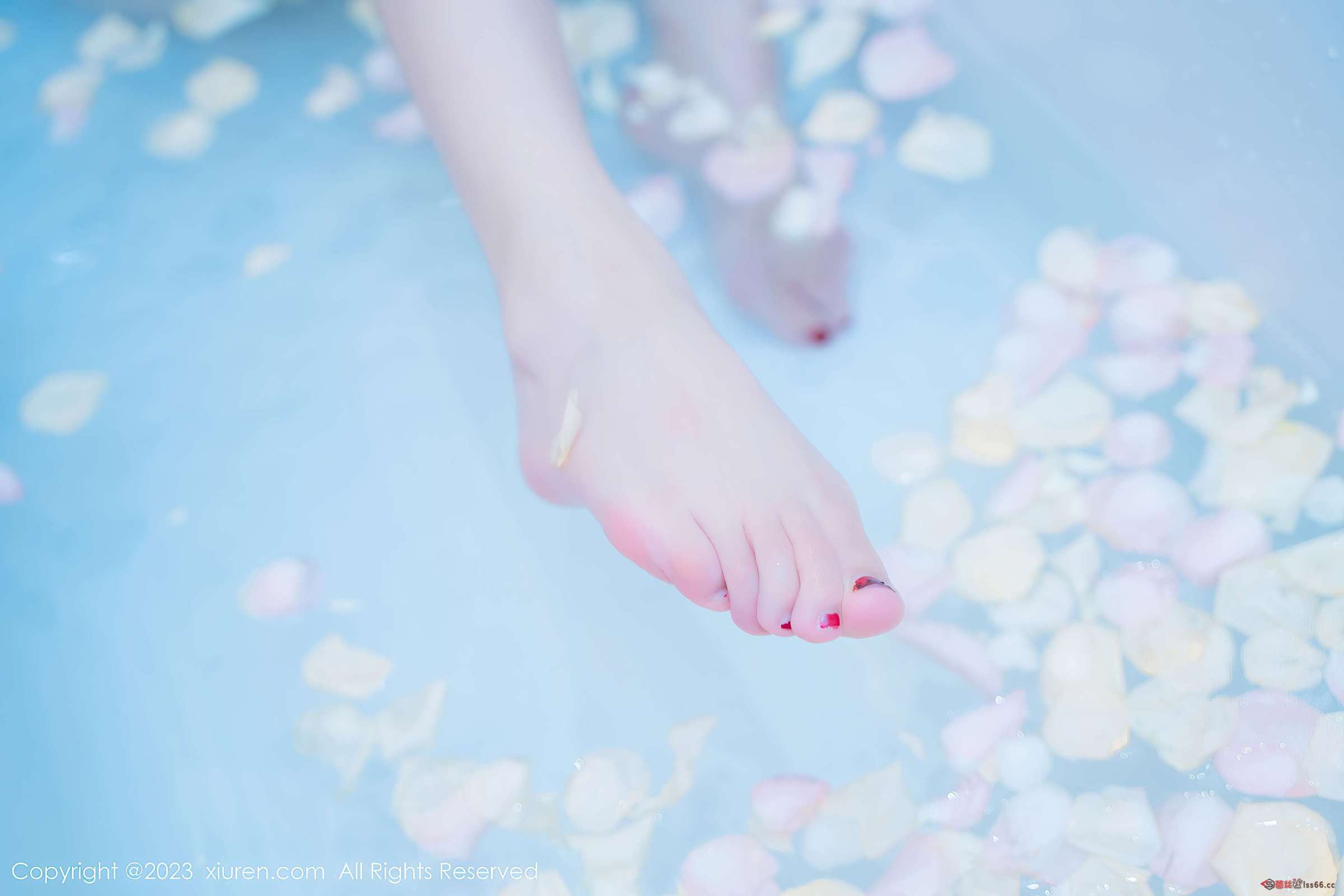 https://www.lss77.com/wp-content/uploads/2023/08/1690859751-2aceac02230cdeb-2400x1600.jpg