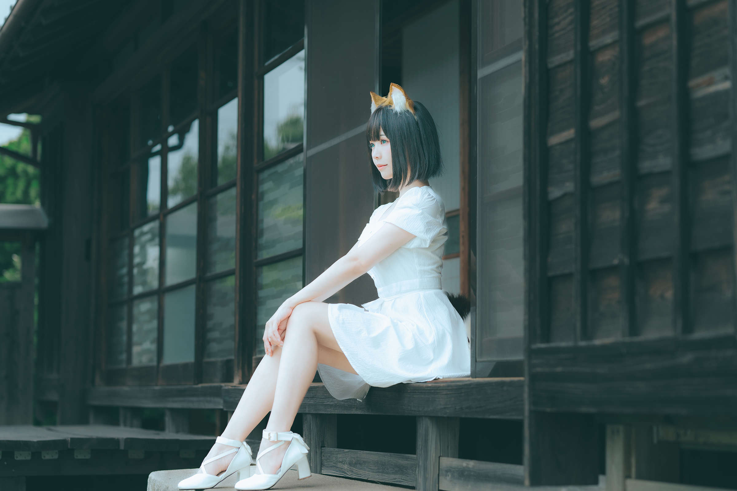 https://www.lss77.com/wp-content/uploads/2023/08/1691293650-11364907cf269dd.jpg