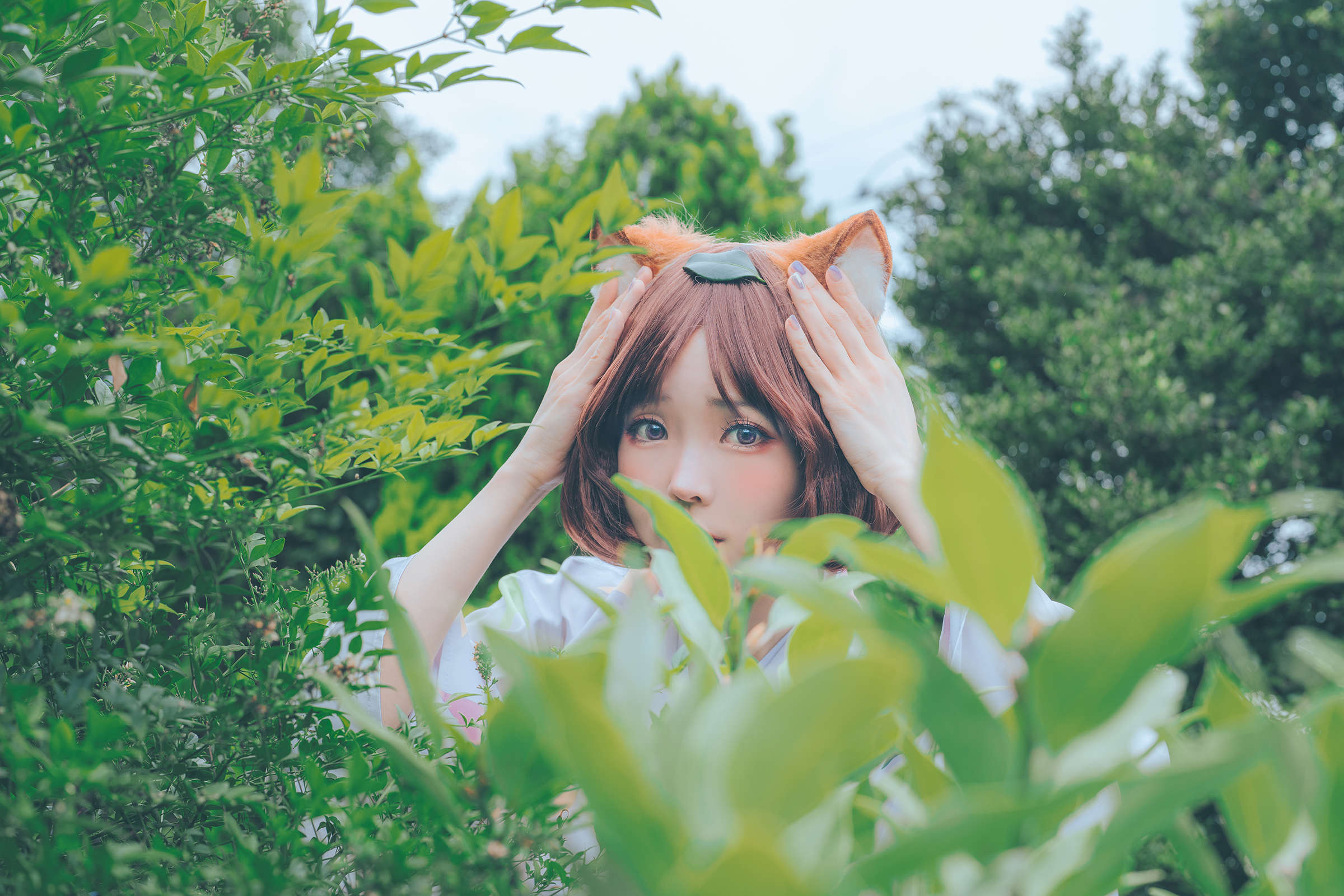 https://www.lss77.com/wp-content/uploads/2023/08/1691294007-2618045a3a5fc88.jpg