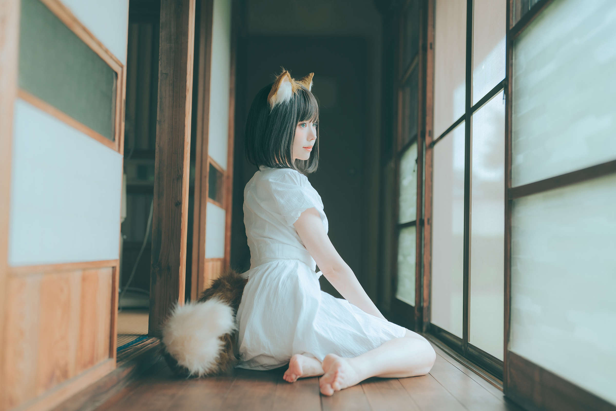 https://www.lss77.com/wp-content/uploads/2023/08/1691294059-2ba100d60448c3b.jpg