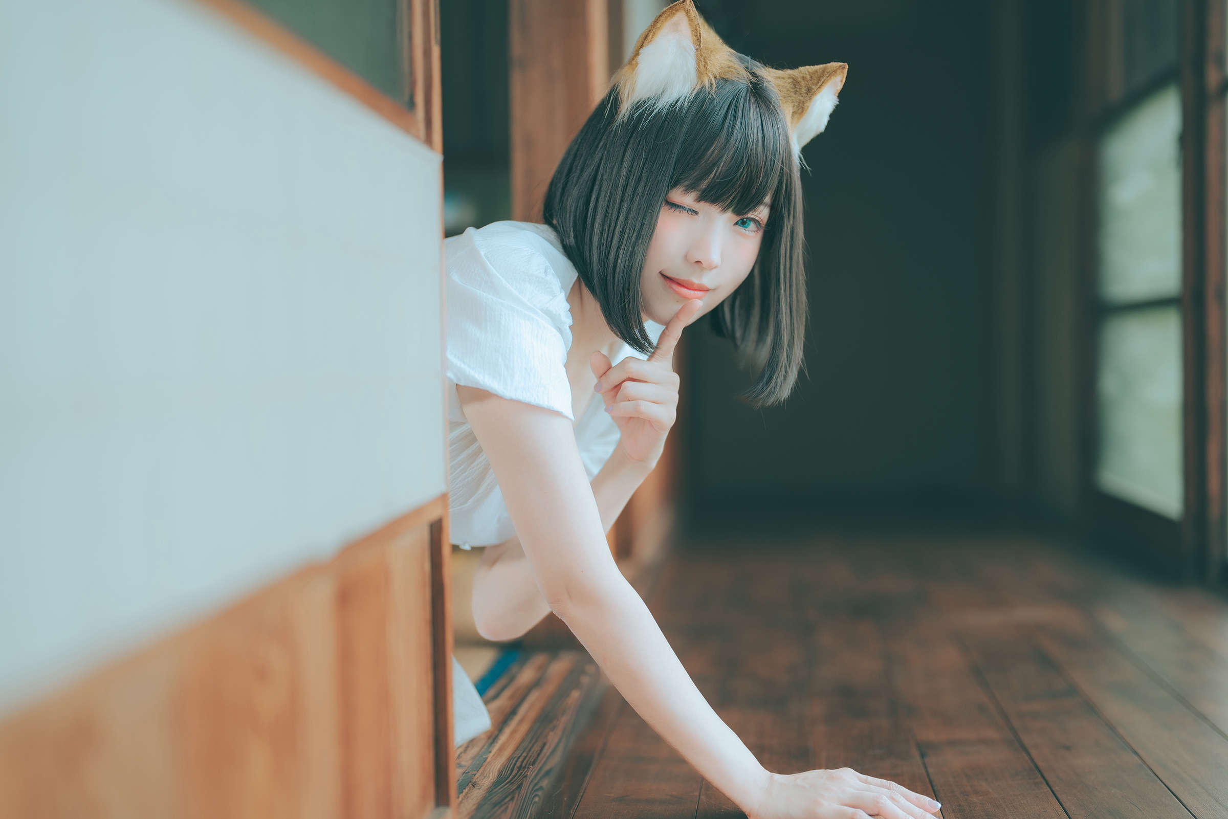 https://www.lss77.com/wp-content/uploads/2023/08/1691294096-a71d83915f8839e.jpg