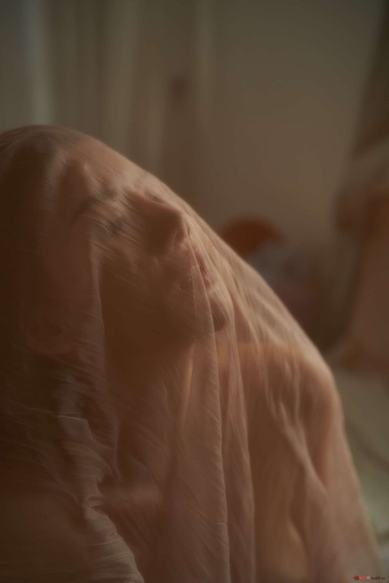 https://www.lss77.com/wp-content/uploads/2023/08/1691384112-307fd7f231593cf-1600x2400.jpg