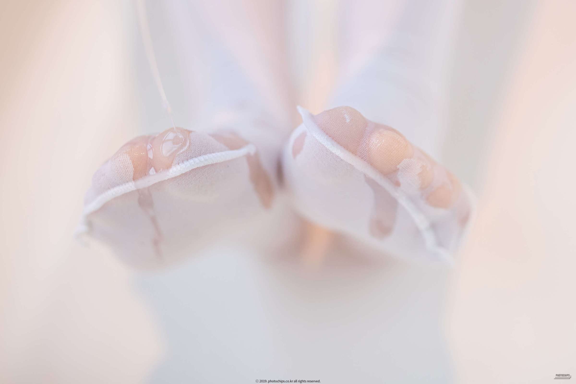 https://www.lss77.com/wp-content/uploads/2023/08/1691556644-7d06a9cf10f2e9e-2400x1600.jpg