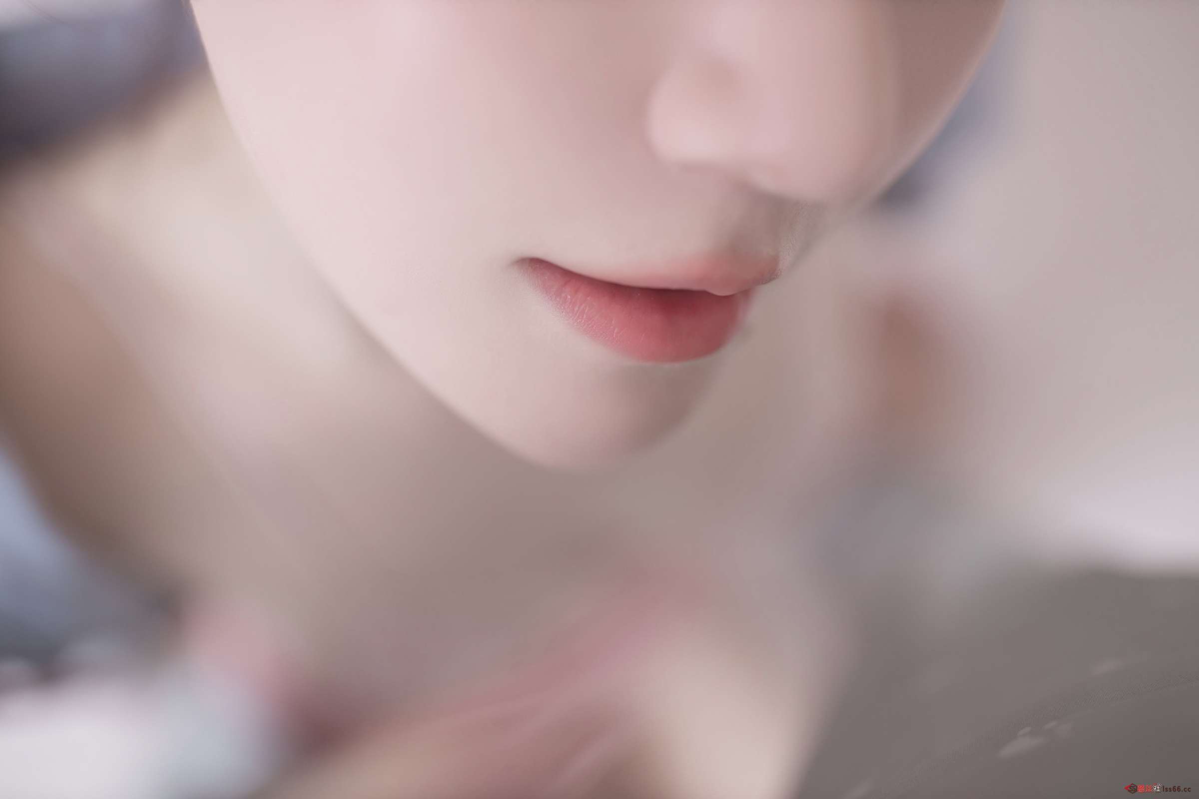 https://www.lss77.com/wp-content/uploads/2023/08/1691986603-b34f33d0bc25185-2400x1600.jpg
