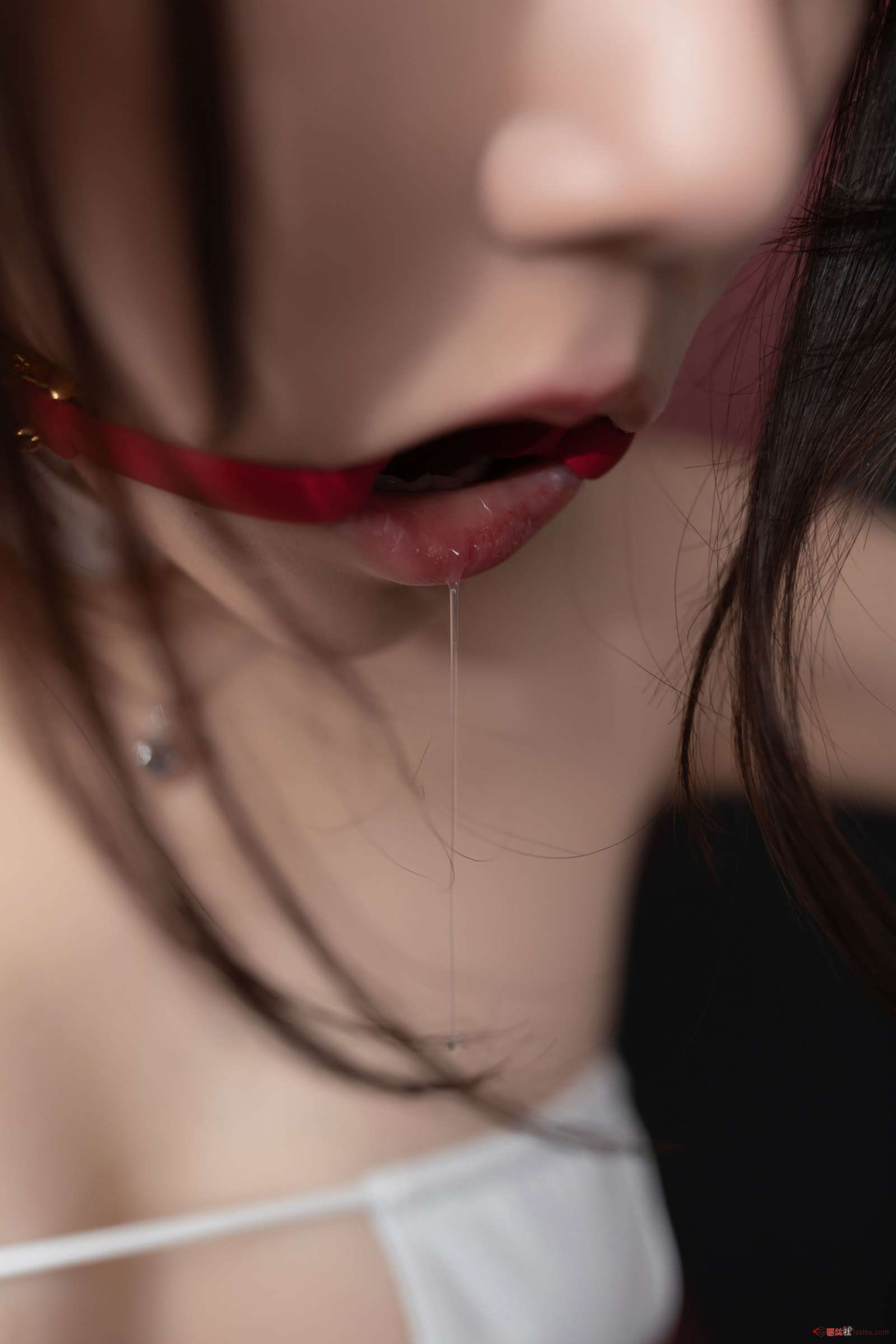https://www.lss77.com/wp-content/uploads/2023/08/1692636781-84150c44ef23219-1600x2400.jpg