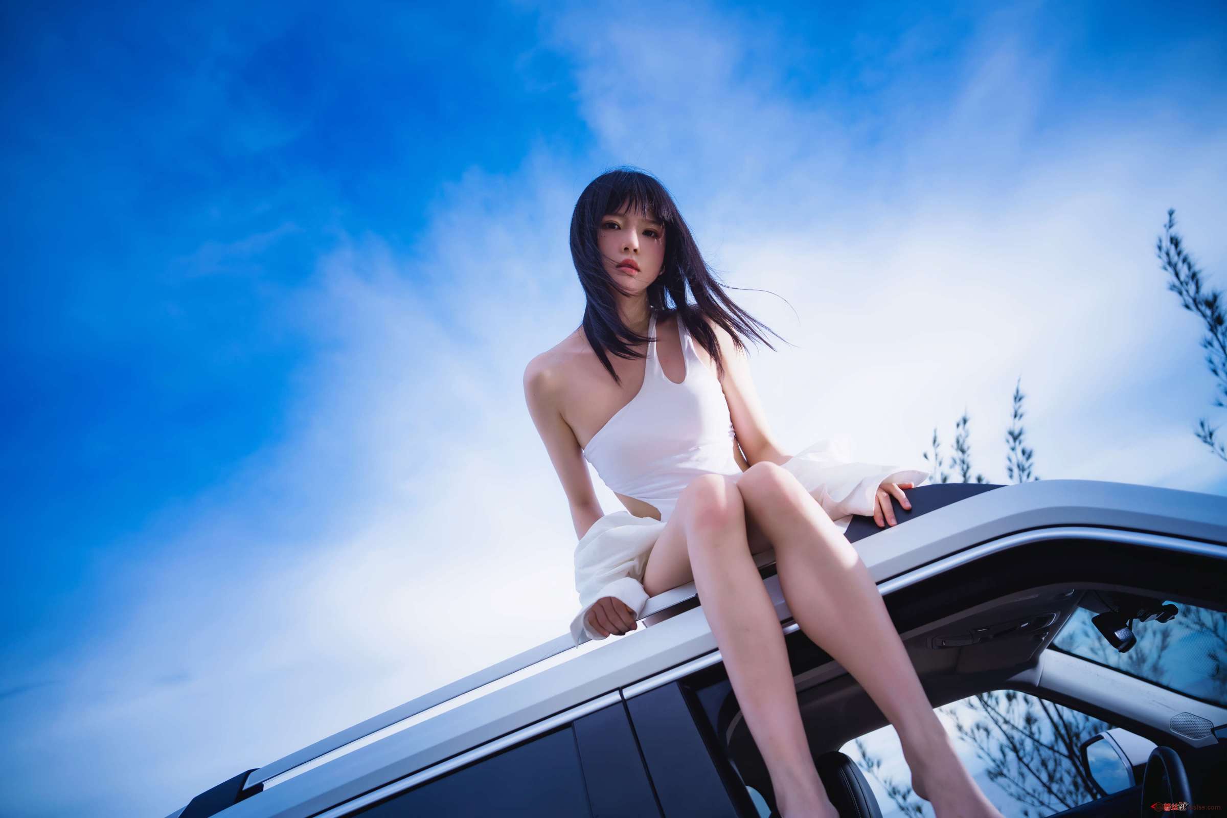 https://www.lss77.com/wp-content/uploads/2023/08/1692788955-9bf31c7ff062936-2400x1600.jpg