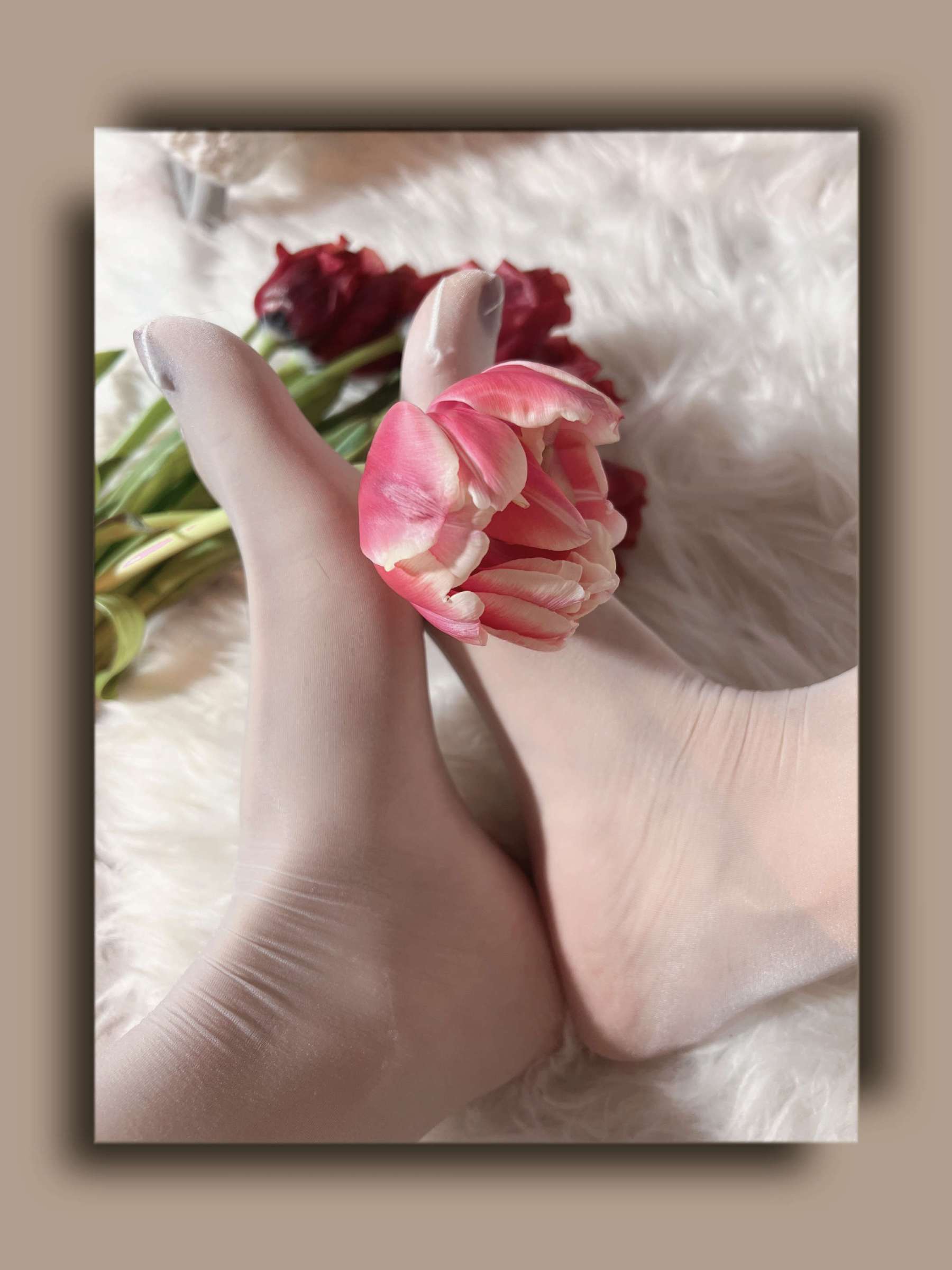 https://www.lss77.com/wp-content/uploads/2023/09/1694062585-defd40204344c96-1800x2400.jpg
