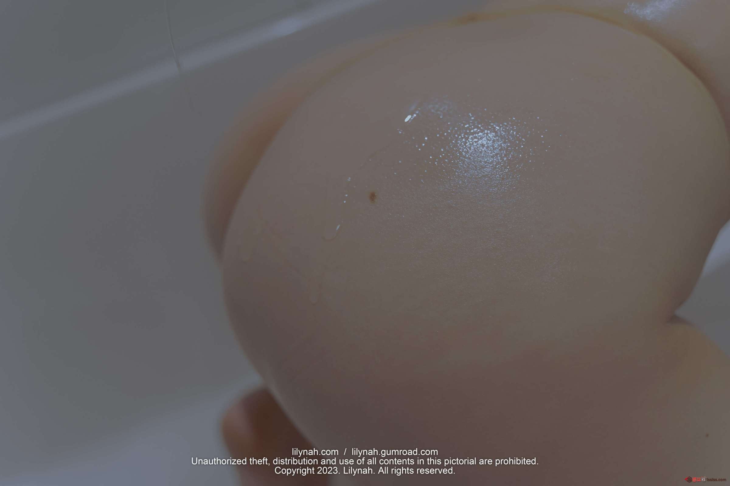 https://www.lss77.com/wp-content/uploads/2023/09/1694452034-8f03ad02c6cad60-2400x1600.jpg