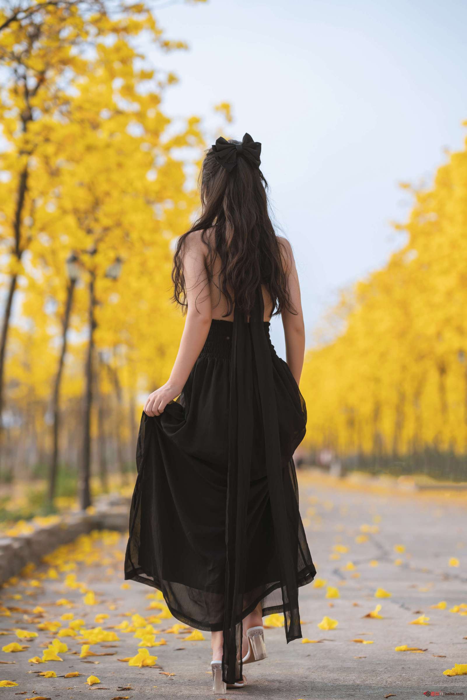 https://www.lss77.com/wp-content/uploads/2023/10/1696846004-568628e0d993b19-1601x2400.jpg
